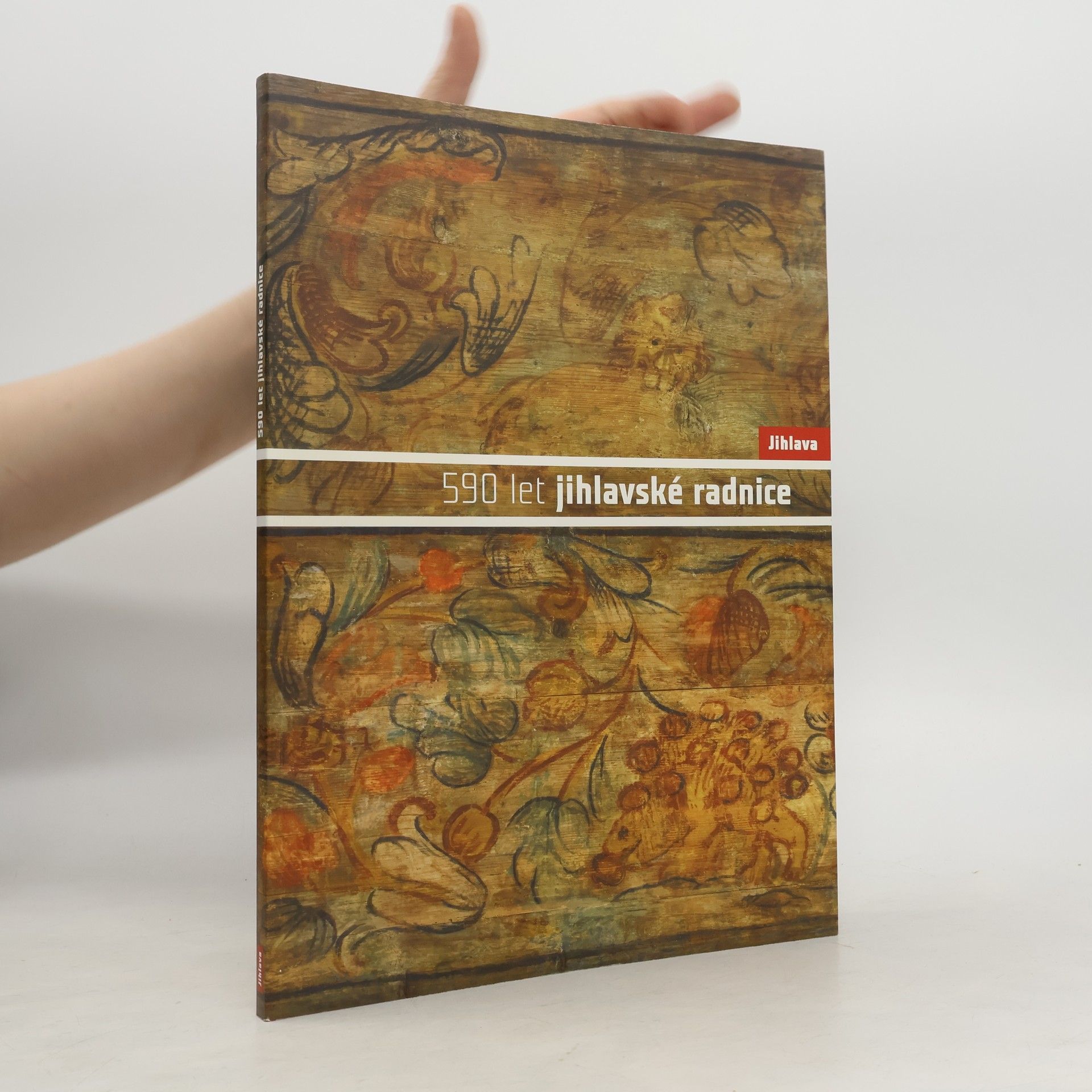 David Zimola 590 let jihlavské radnice
