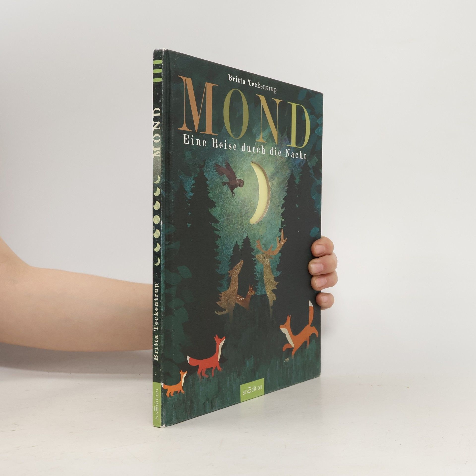 Britta Teckentrup Mond. Eine Reise durch die Nacht