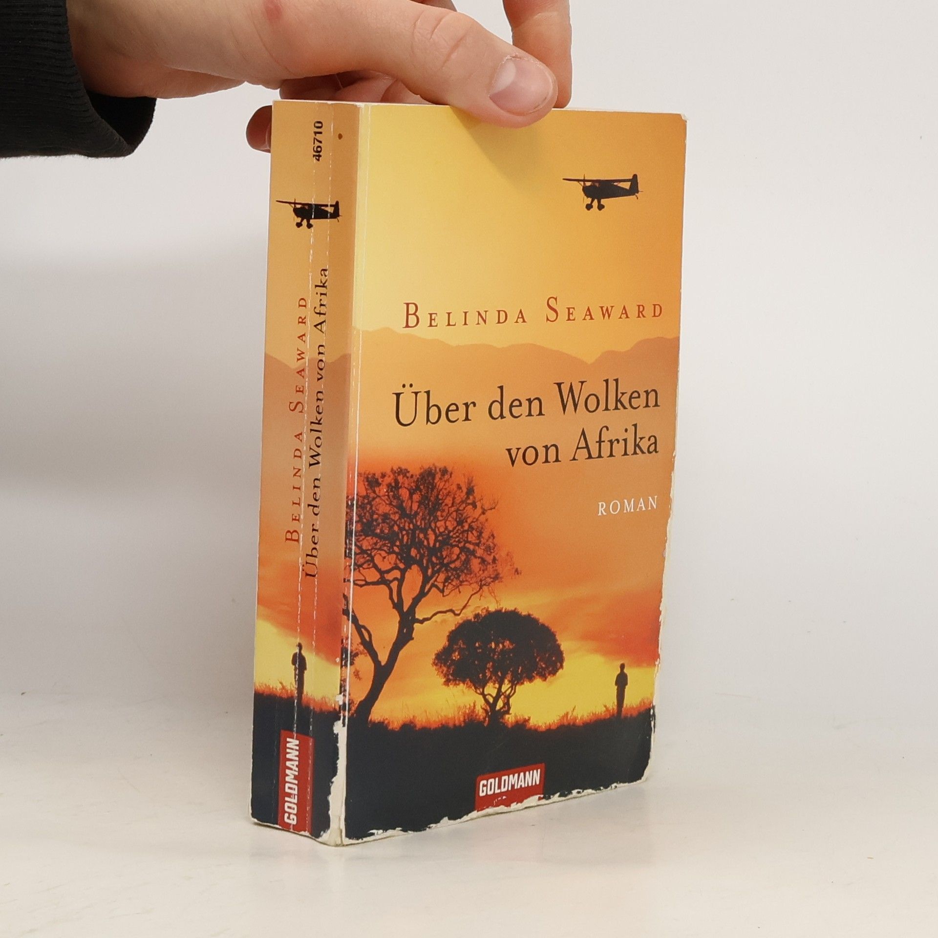 Belinda Seaward Über den Wolken von Afrika