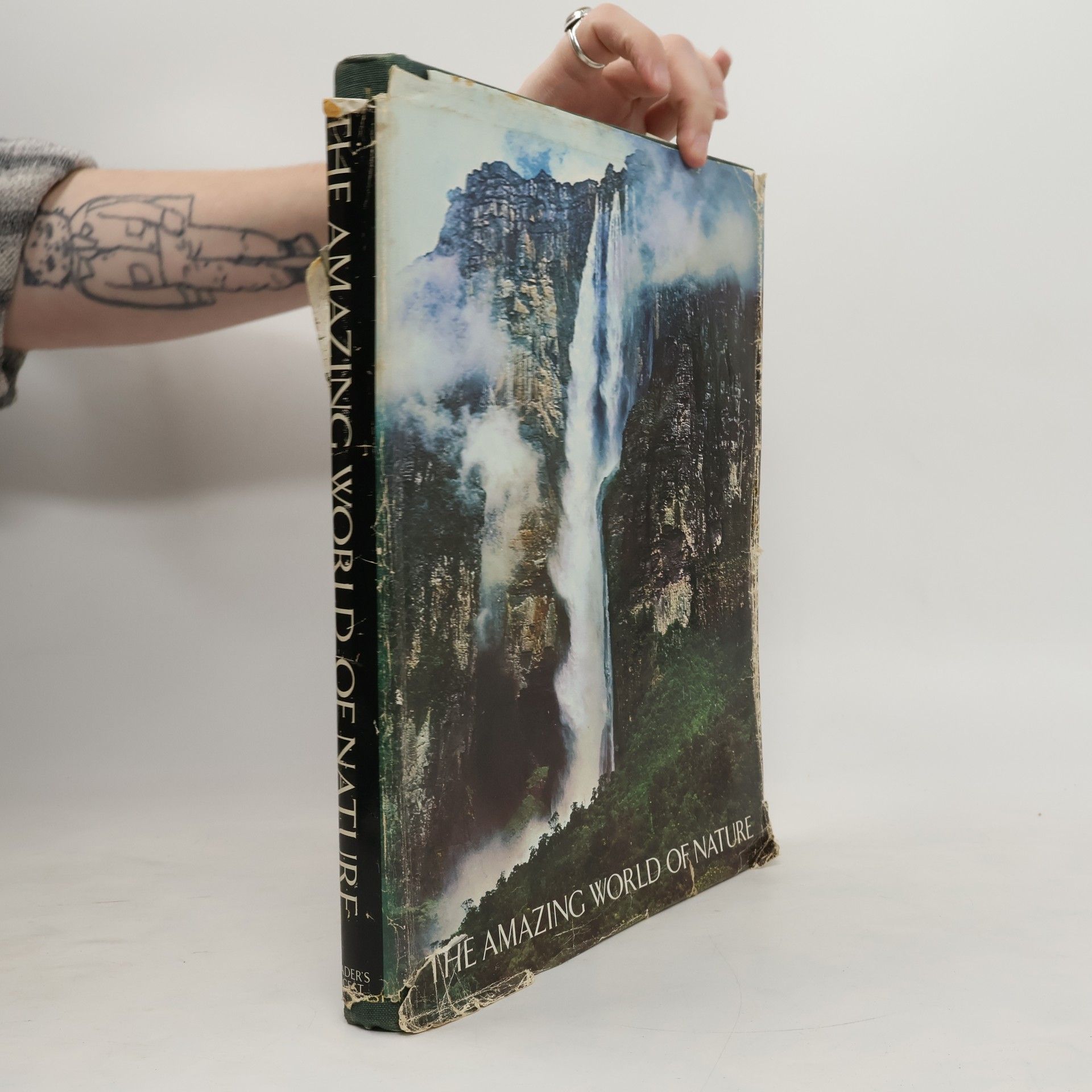 Autorenkollektiv The Amazing World of Nature