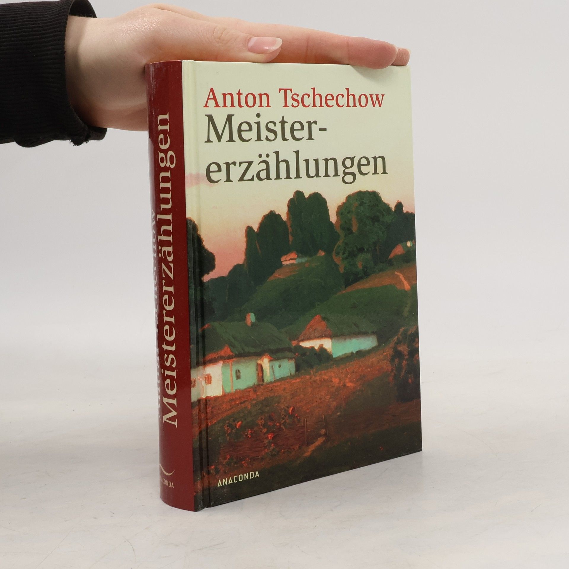 Anton Pavlovič Čechov Meistererzählungen