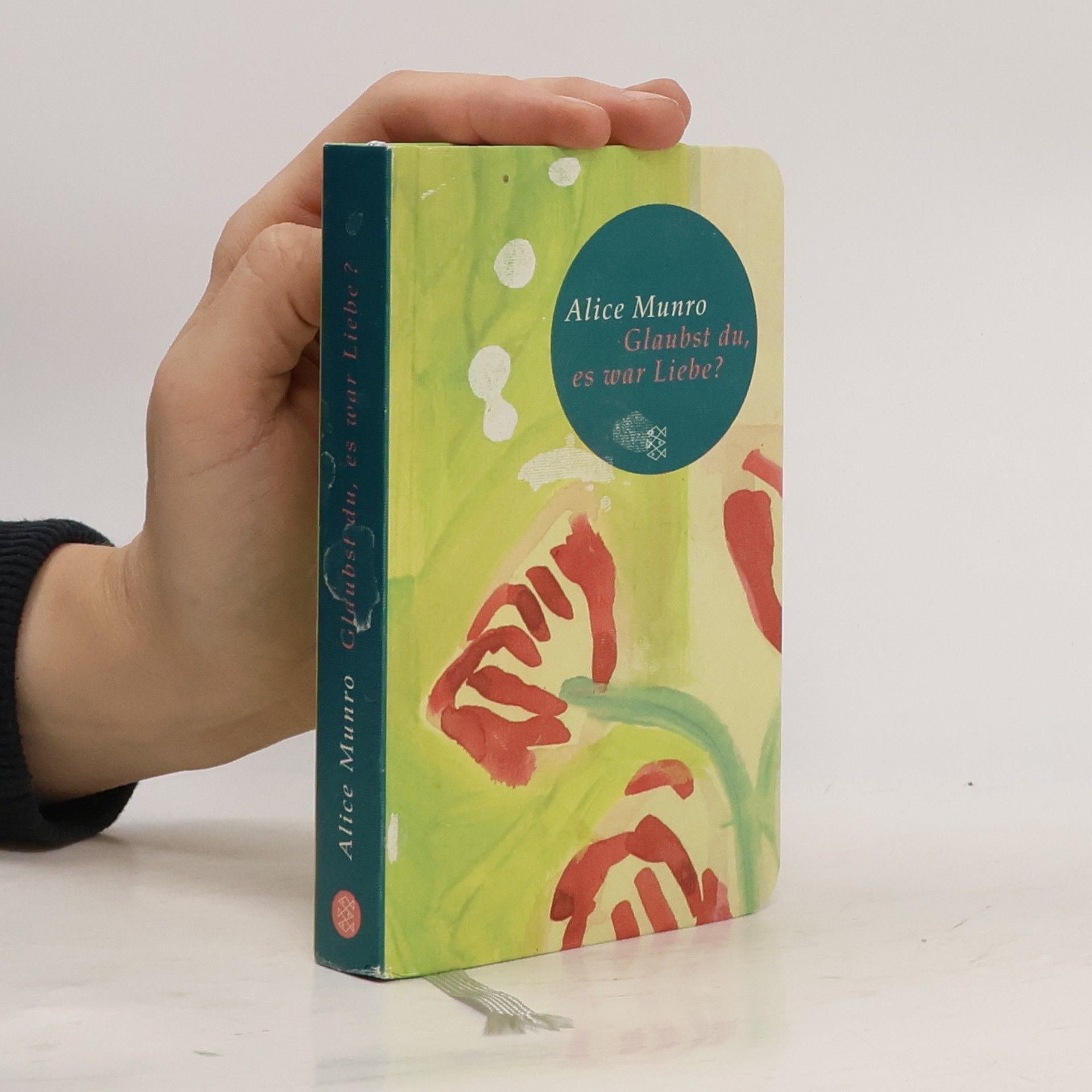 Alice Munro Fischer Taschenbibliothek: Glaubst du, es war Liebe?