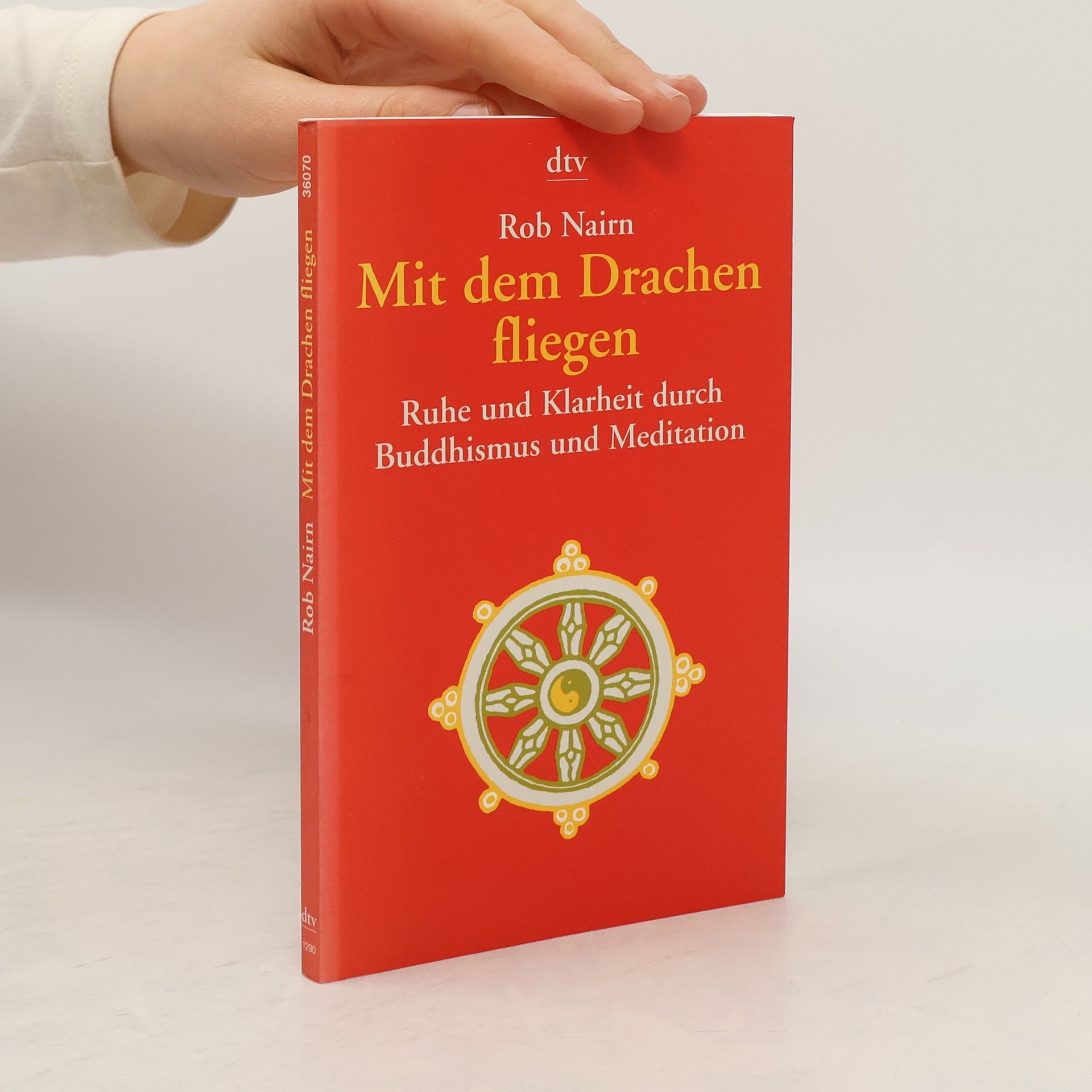 Rob Nairn Mit dem Drachen fliegen