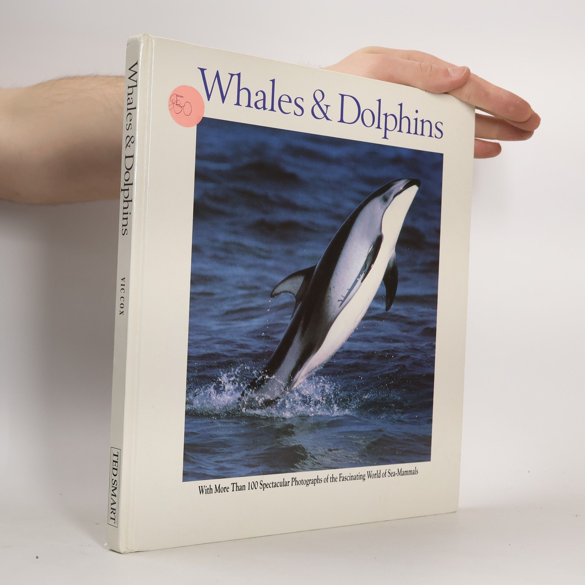 Various authors Whales & Dolphins