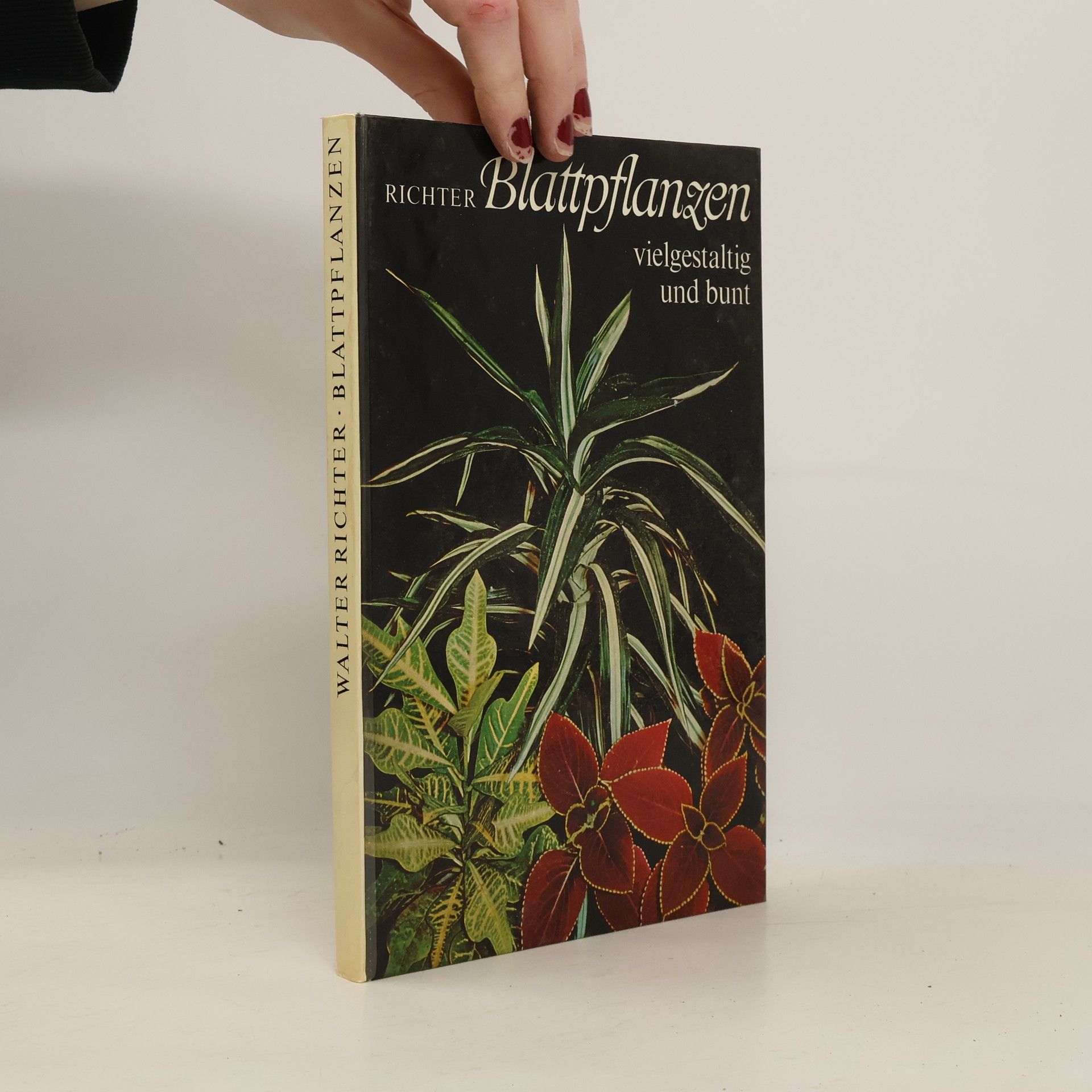 Walter Richter Blattpflanzen vielgestaltig und bunt