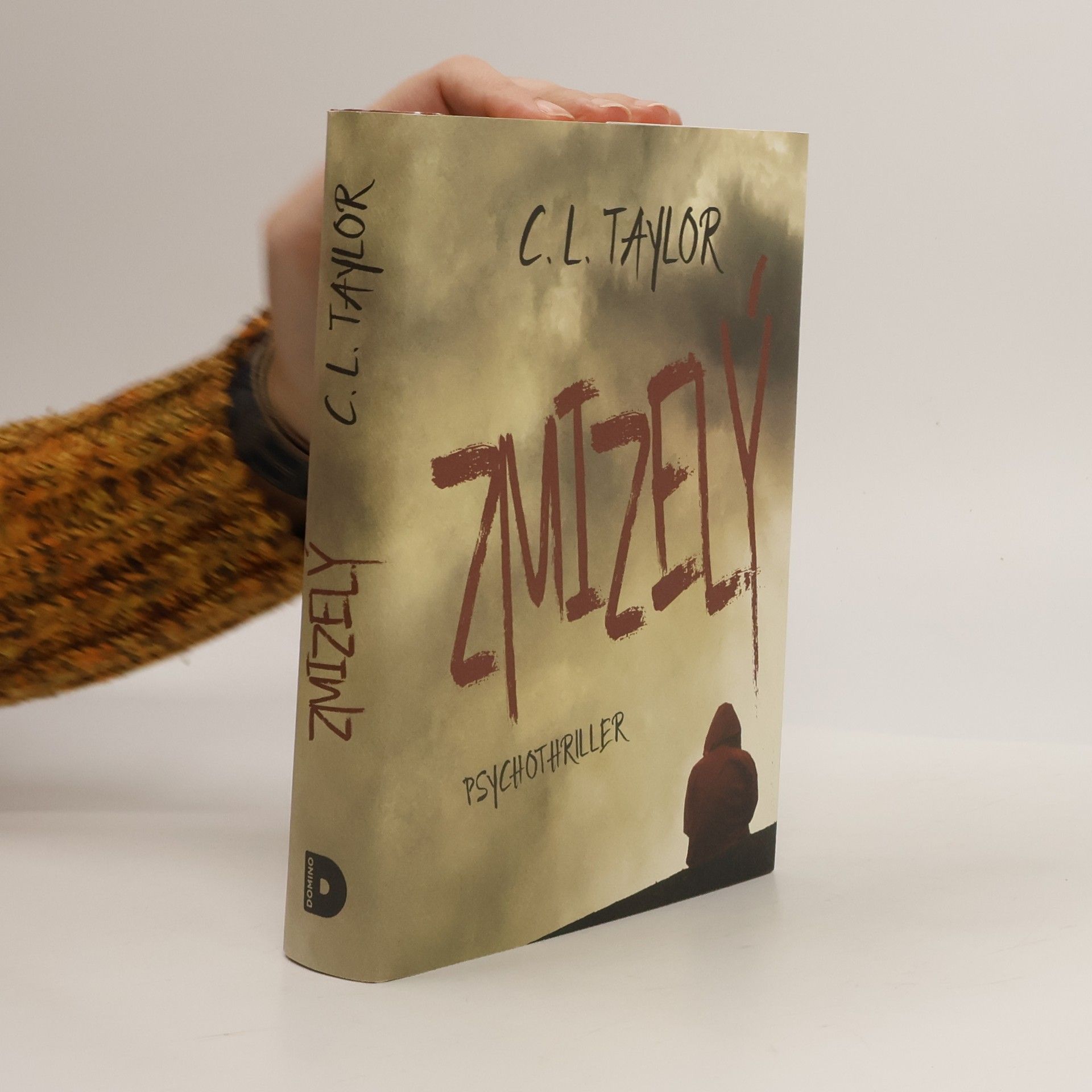 C.L. Taylor Zmizelý