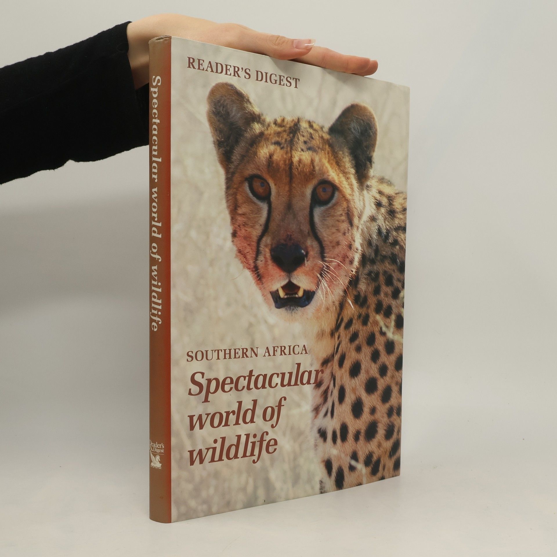 Tim O'Hagan Southern Africa