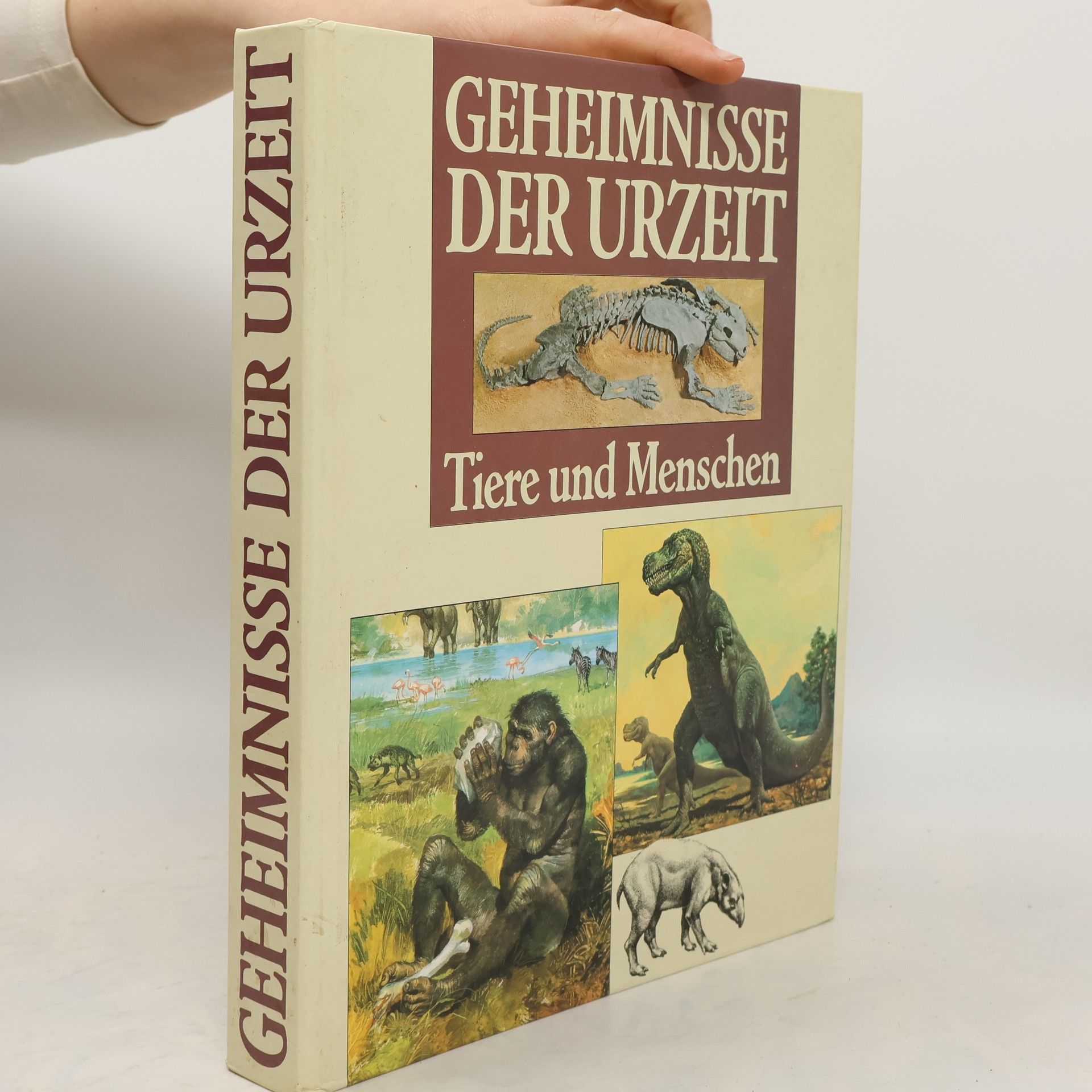 Mario Andreose Die Geheimnisse der Urzeit. Tiere und Menschen