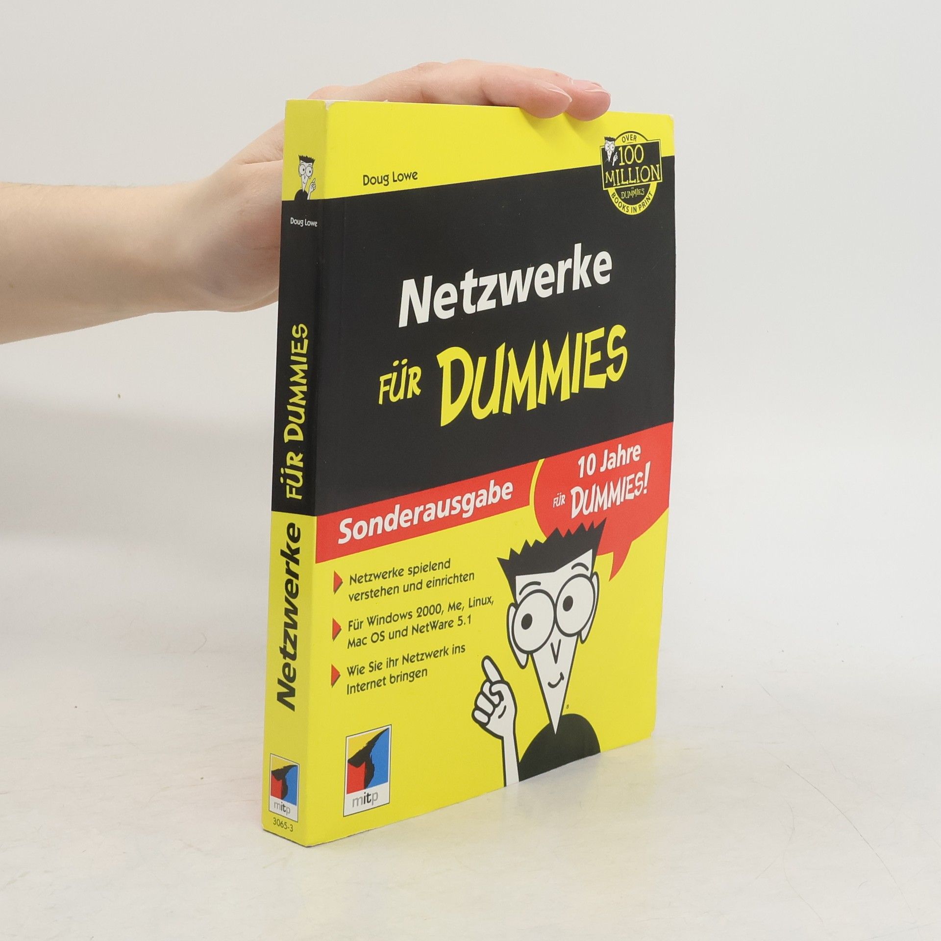 Doug Lowe Netzwerke für Dummies