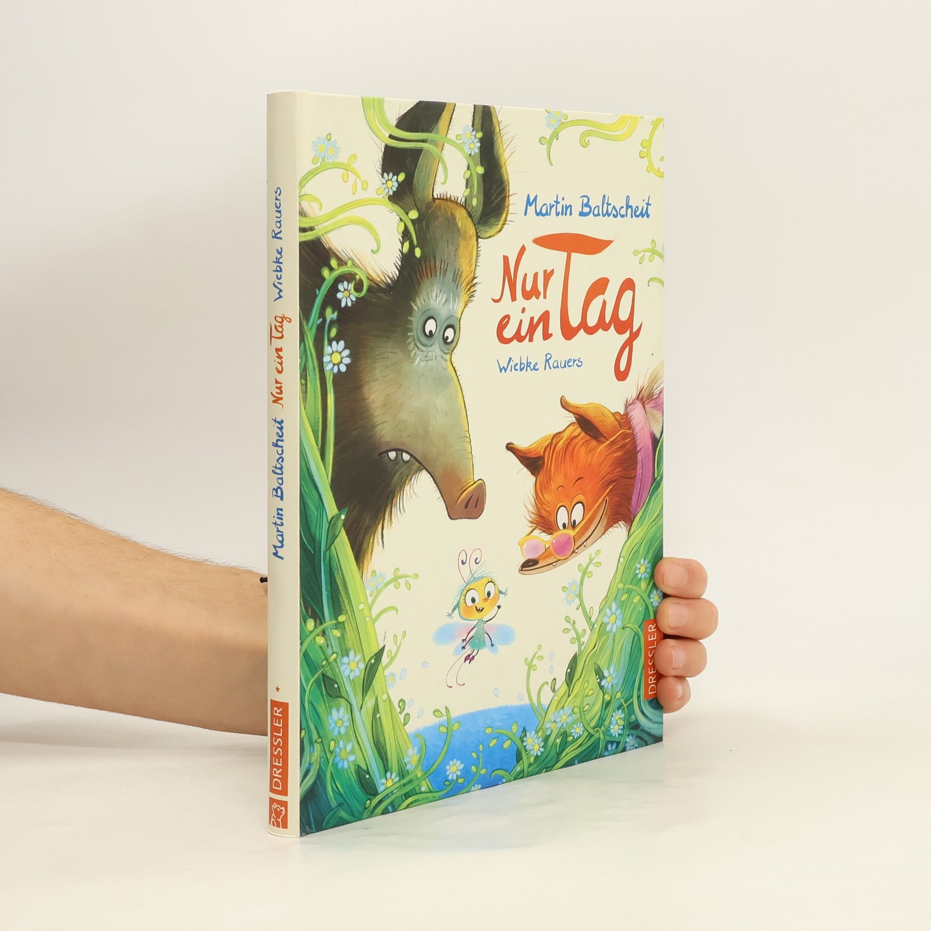 Martin Baltscheit Nur ein Tag