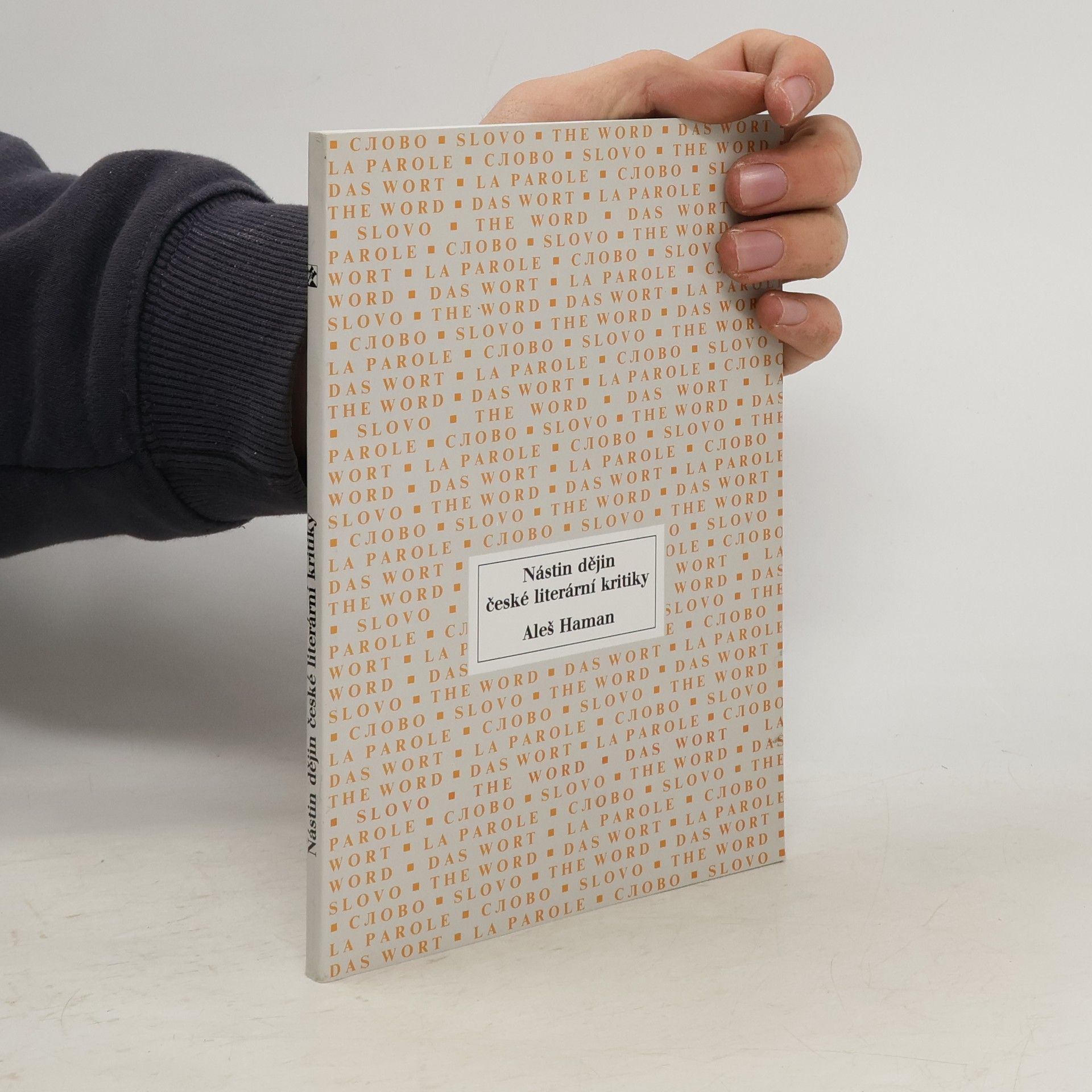 Aleš Haman Nástin dějin české literární kritiky