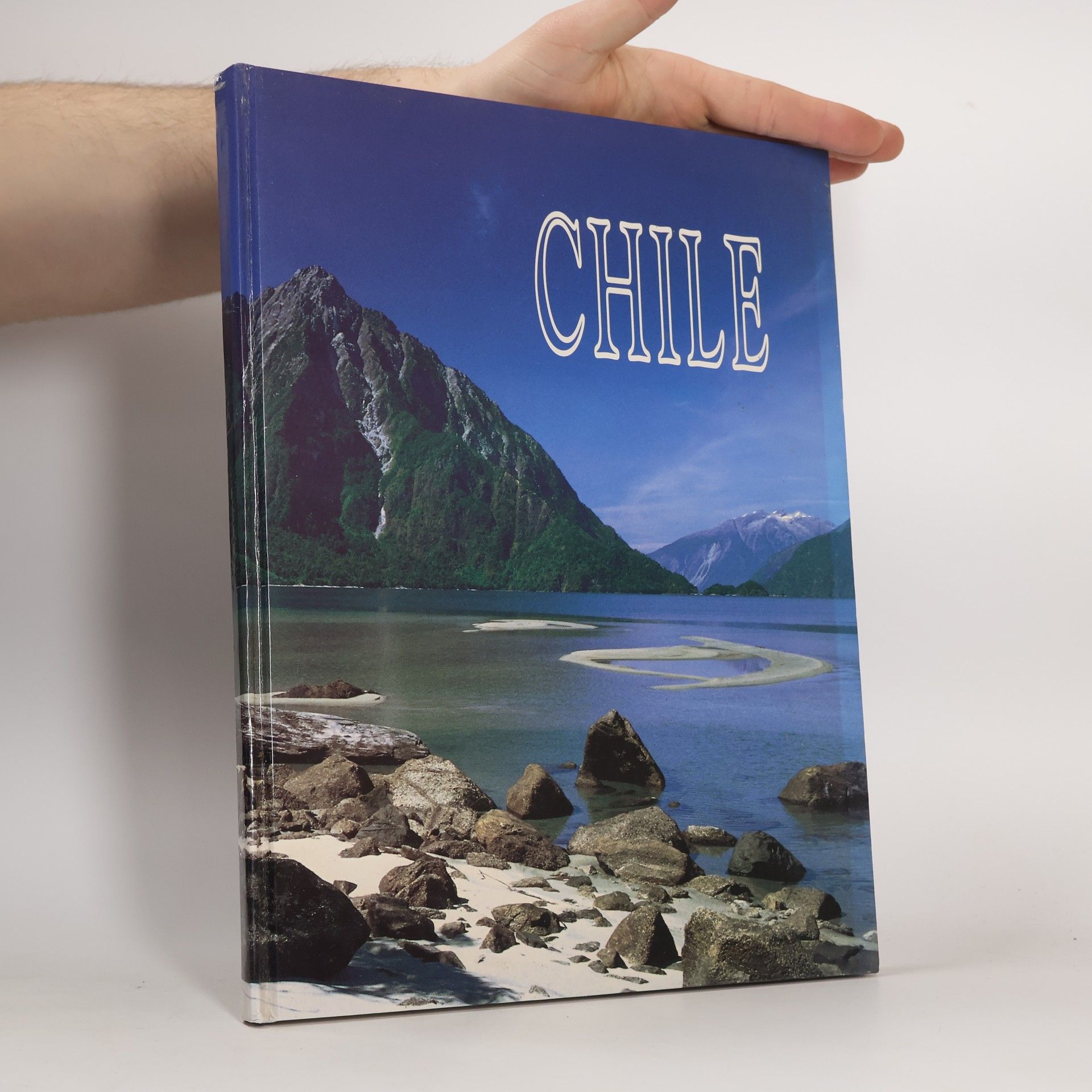 Autorenkollektiv Chile