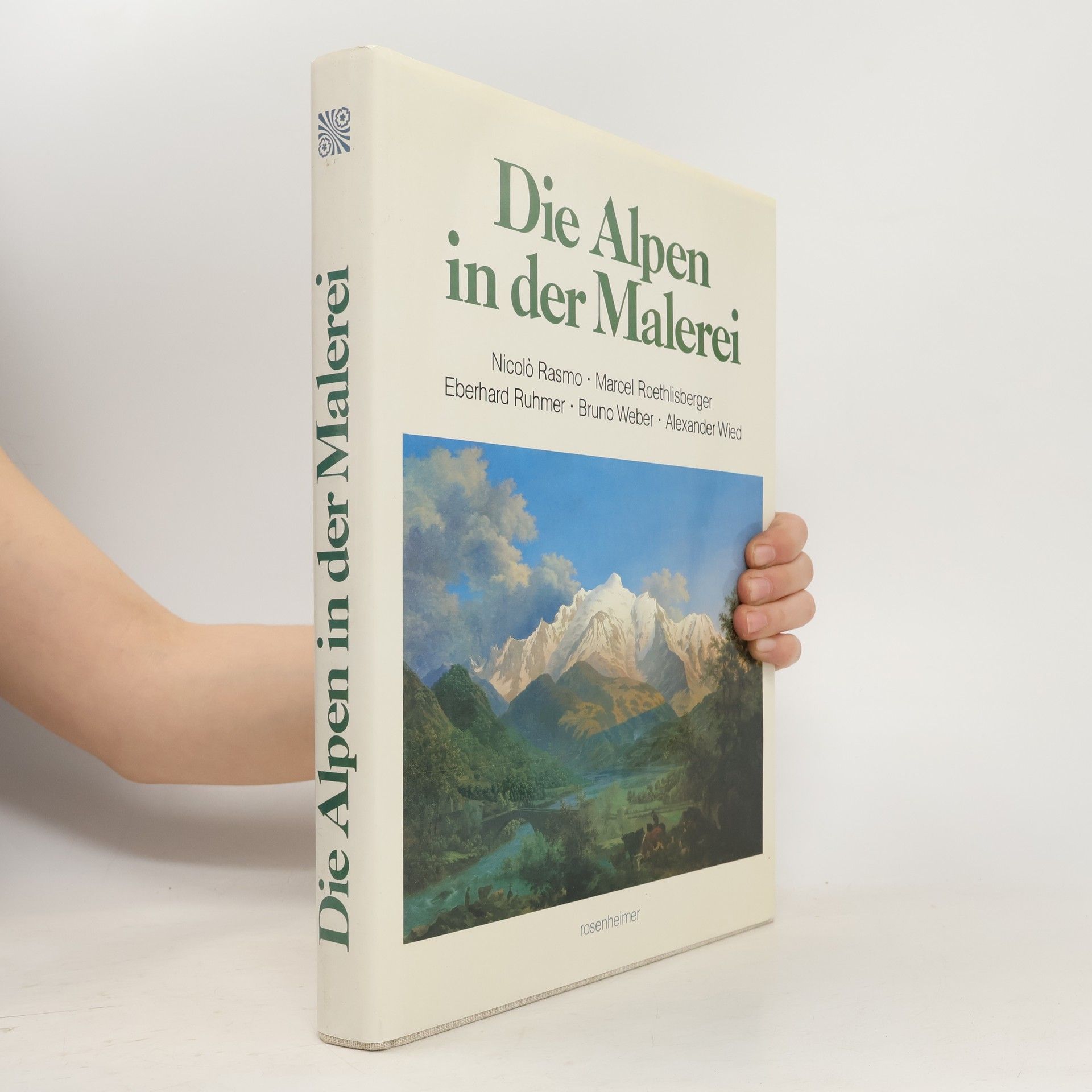 Nicolo Rasmo Die Alpen in der Malerei