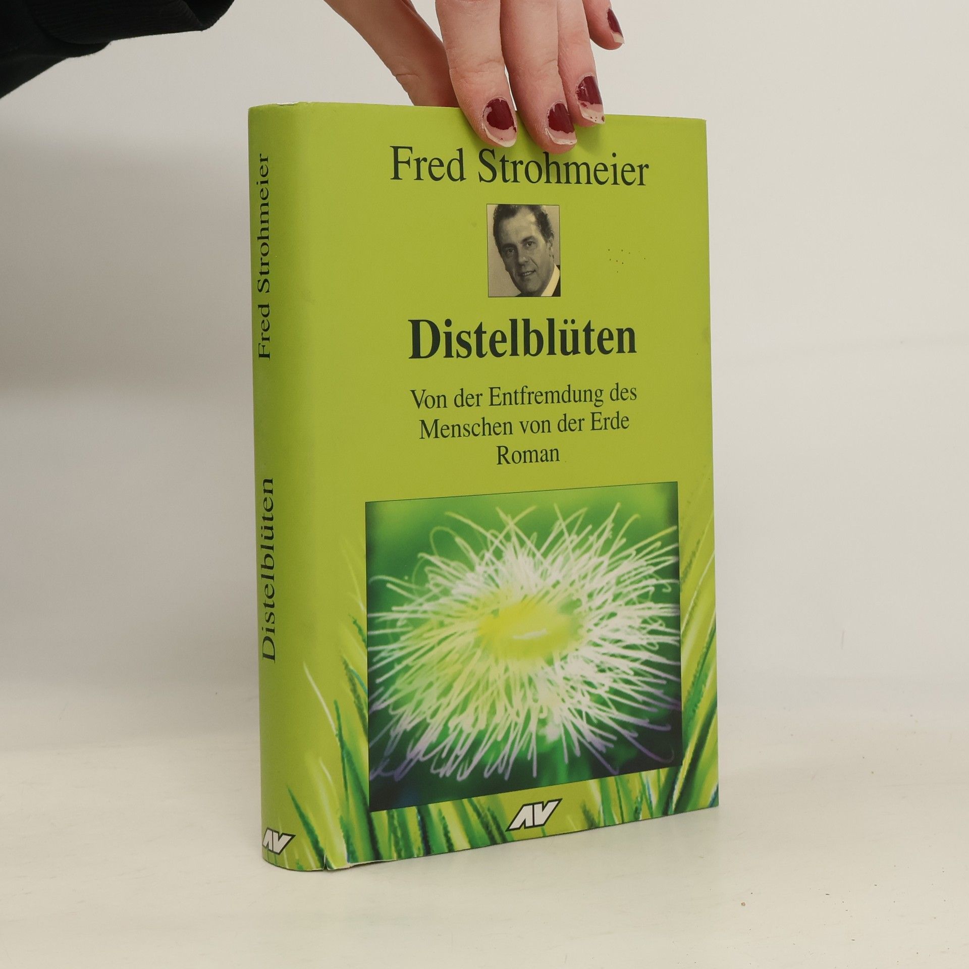 Fred Strohmeier Distelblüten
