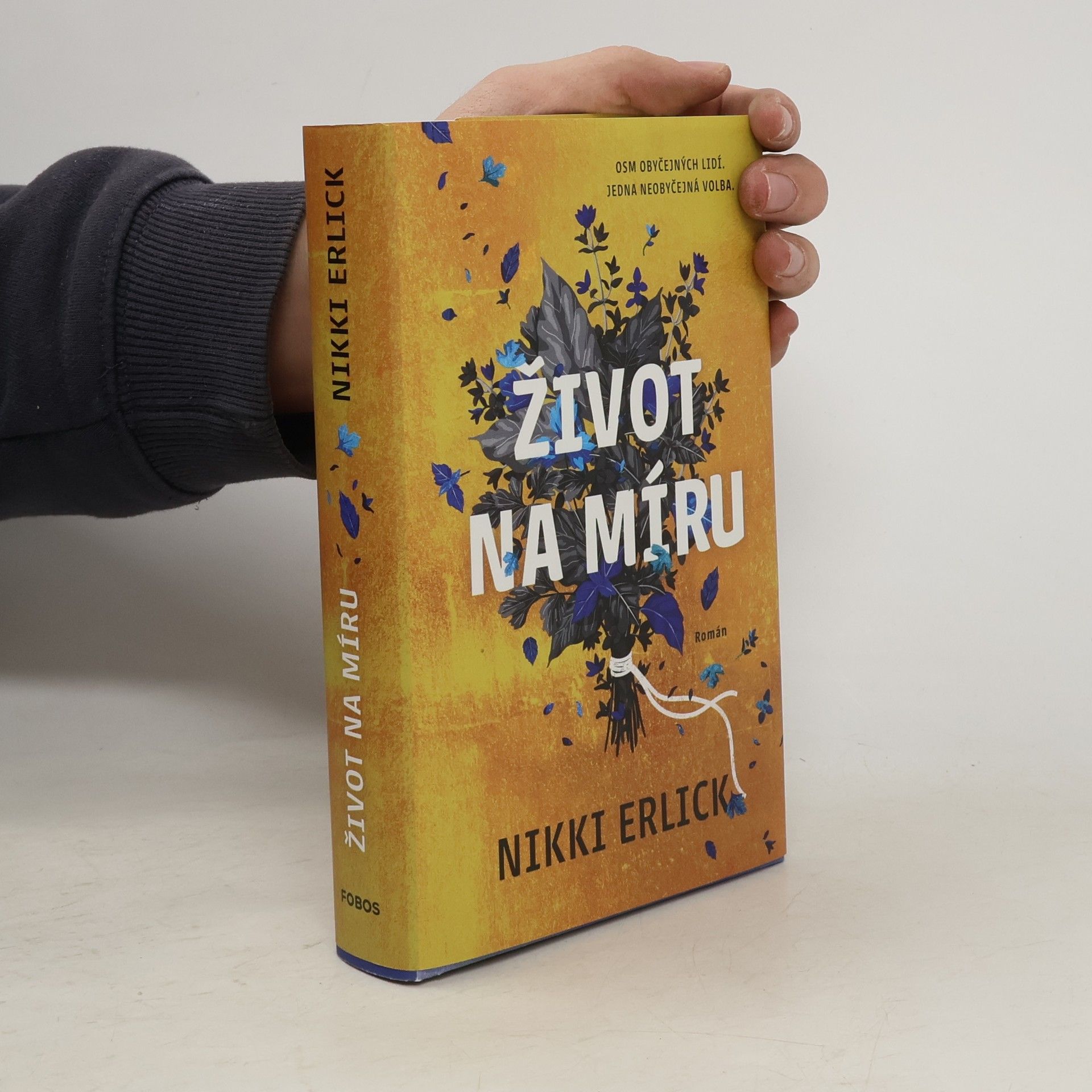 Nikki Erlick Život na míru