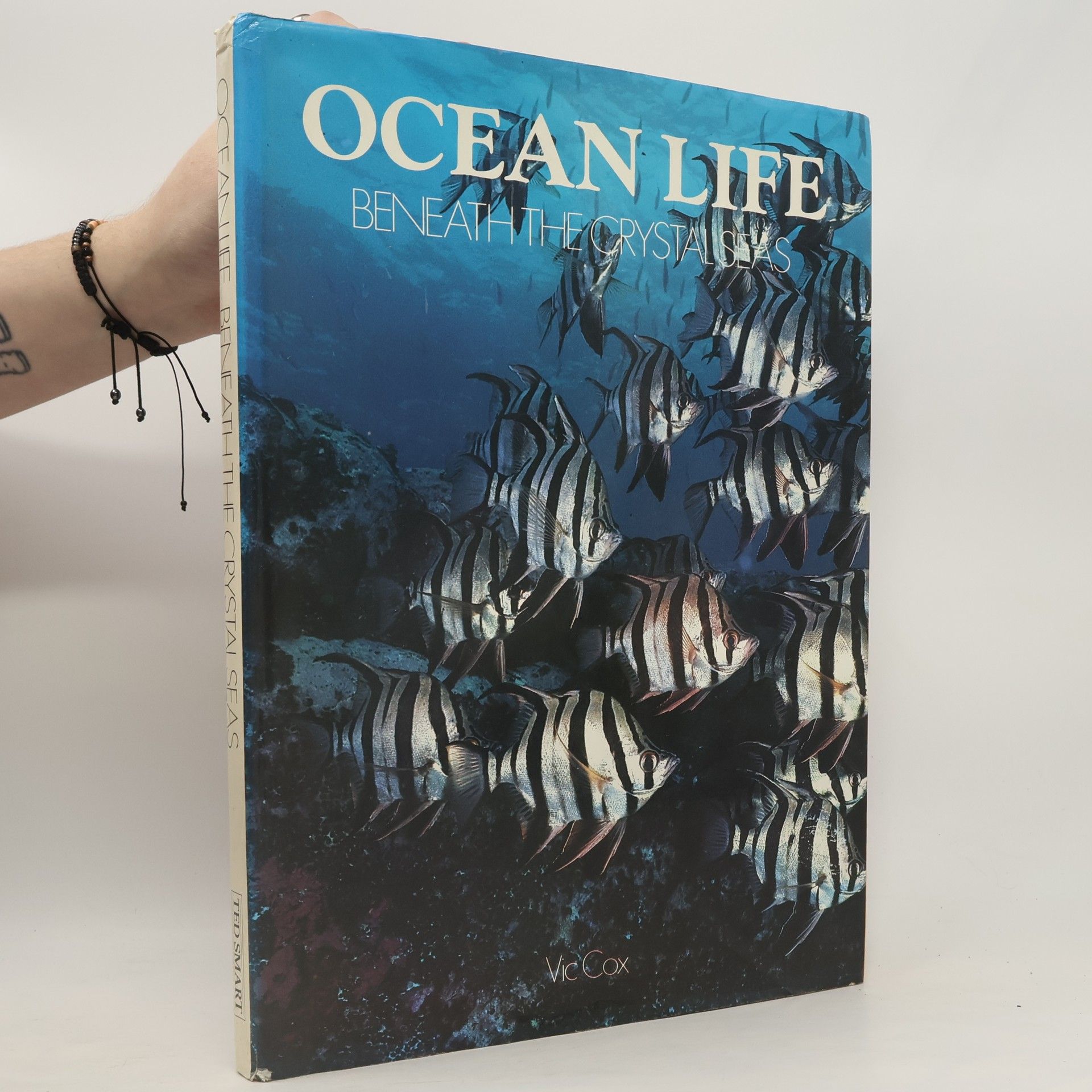 Victoria Cox Ocean Life