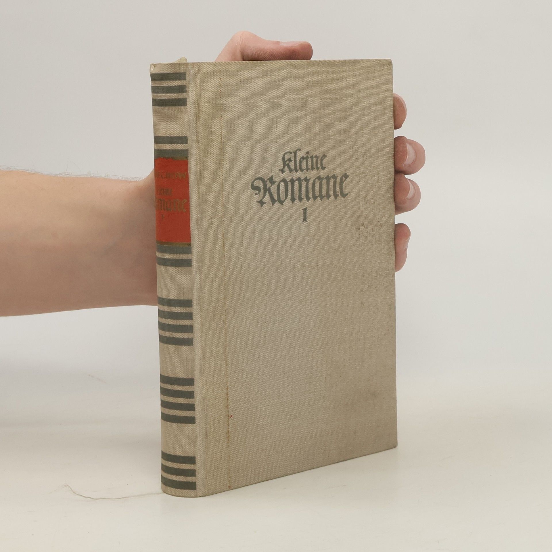 Anton Chekhov Kleine Romane 1