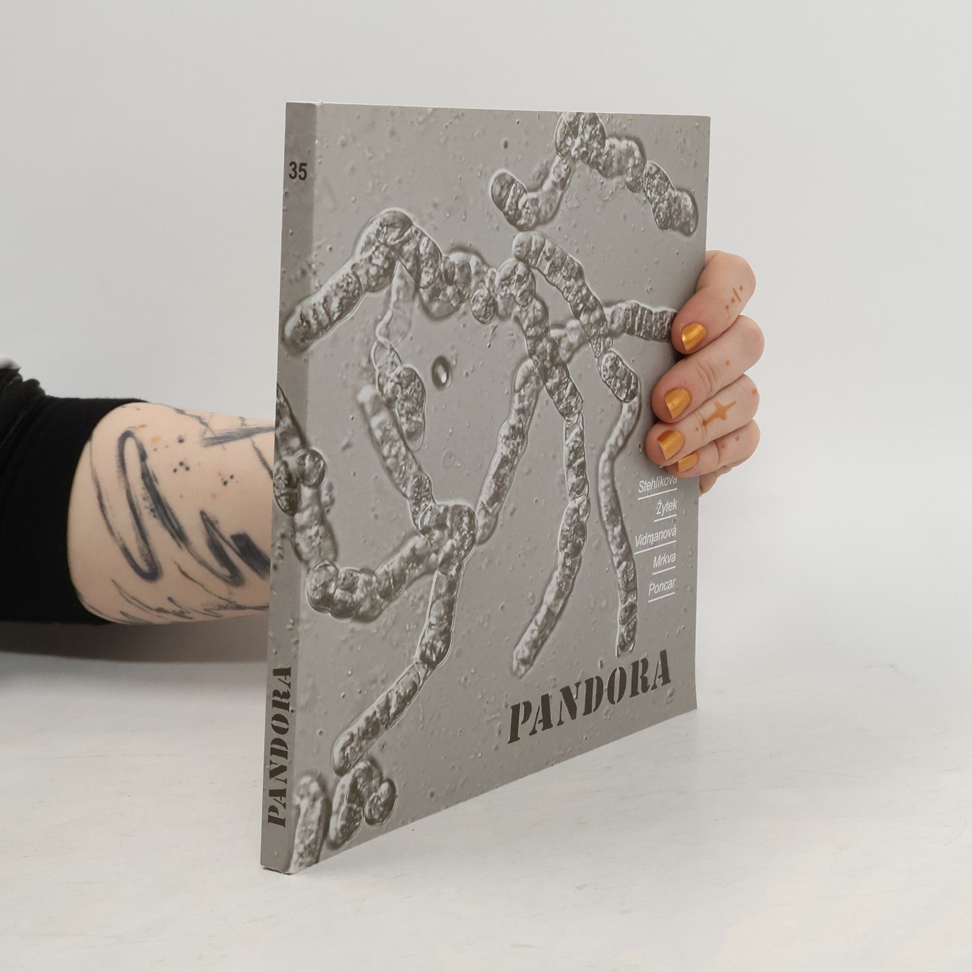 Kolektiv autorů Pandora. Číslo 35/2018, ročník XXII