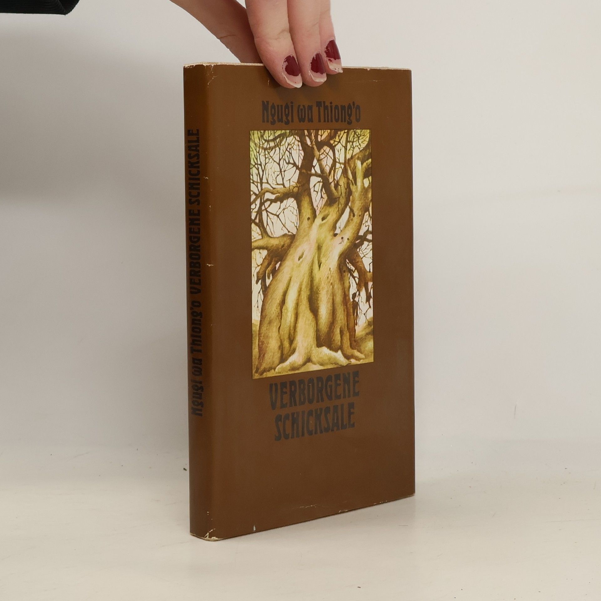 Ngugi Wa Thiong o Verborgene Schicksale
