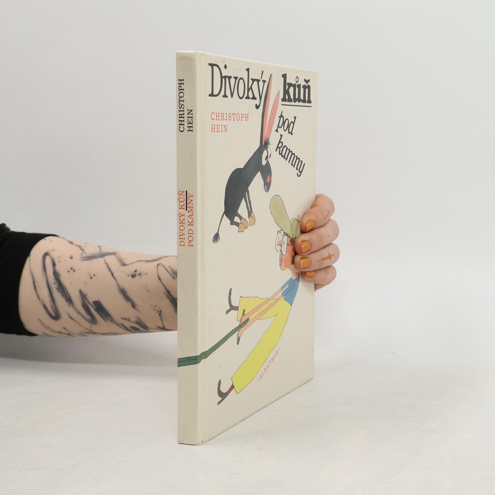 Christoph Hein Divoký kůň pod kamny