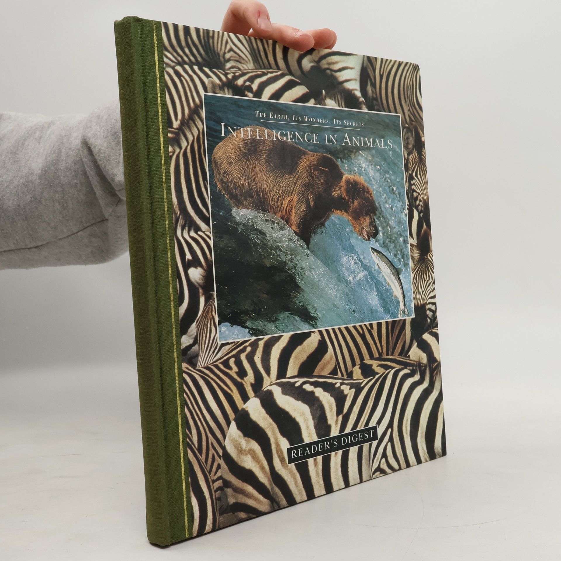 Michael Bright Intellingence in animals : the Earth, its wonders, its secrets