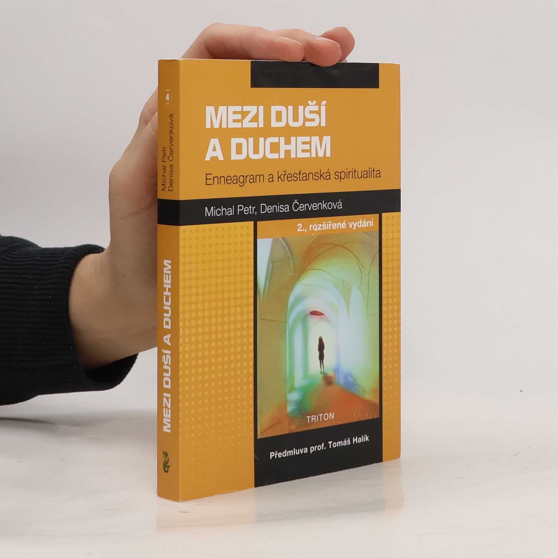 Michal Petr Mezi duší a duchem: Enneagram a křesťanská spiritualita