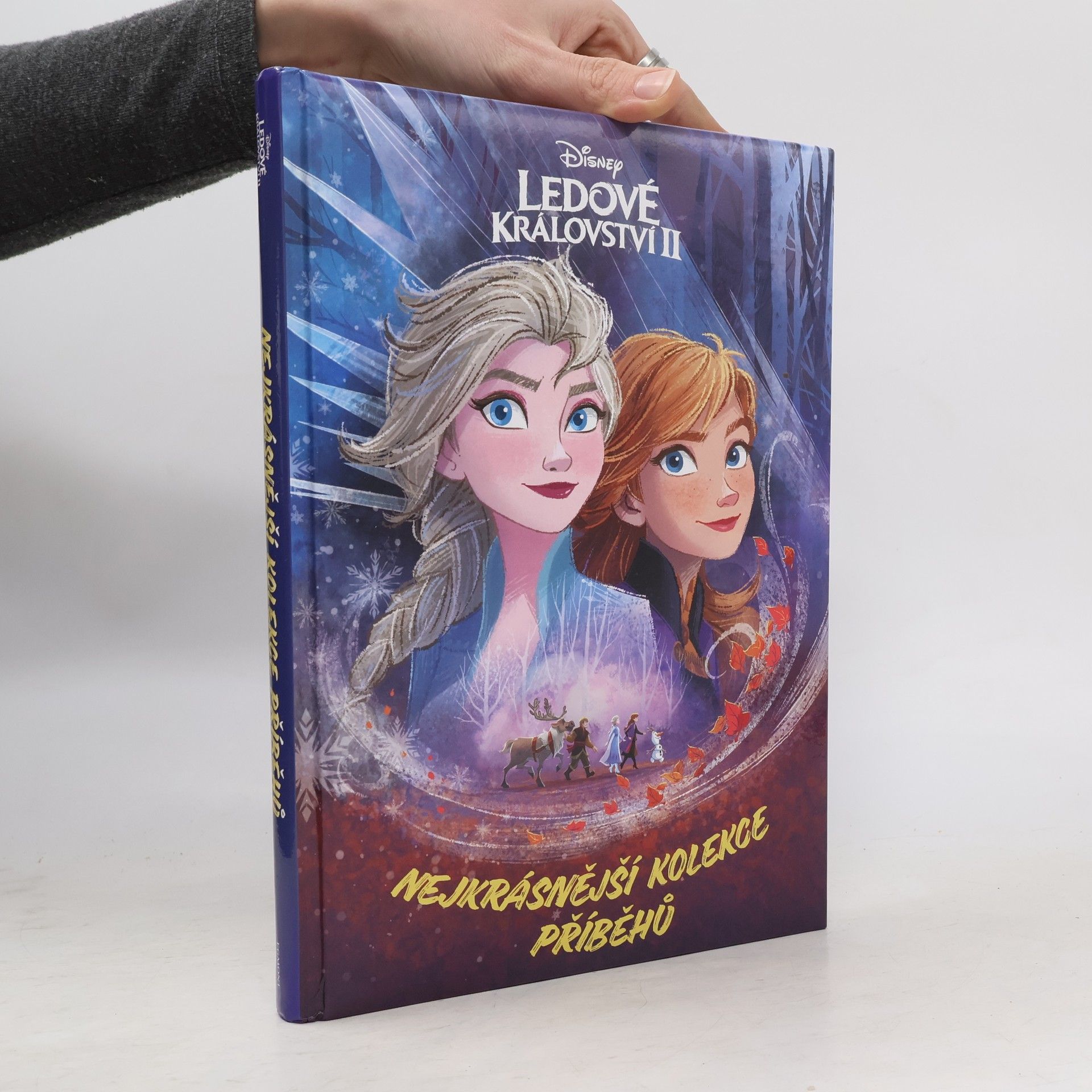 AA.VV. Ledové království II : nejkrásnější kolekce příběhů