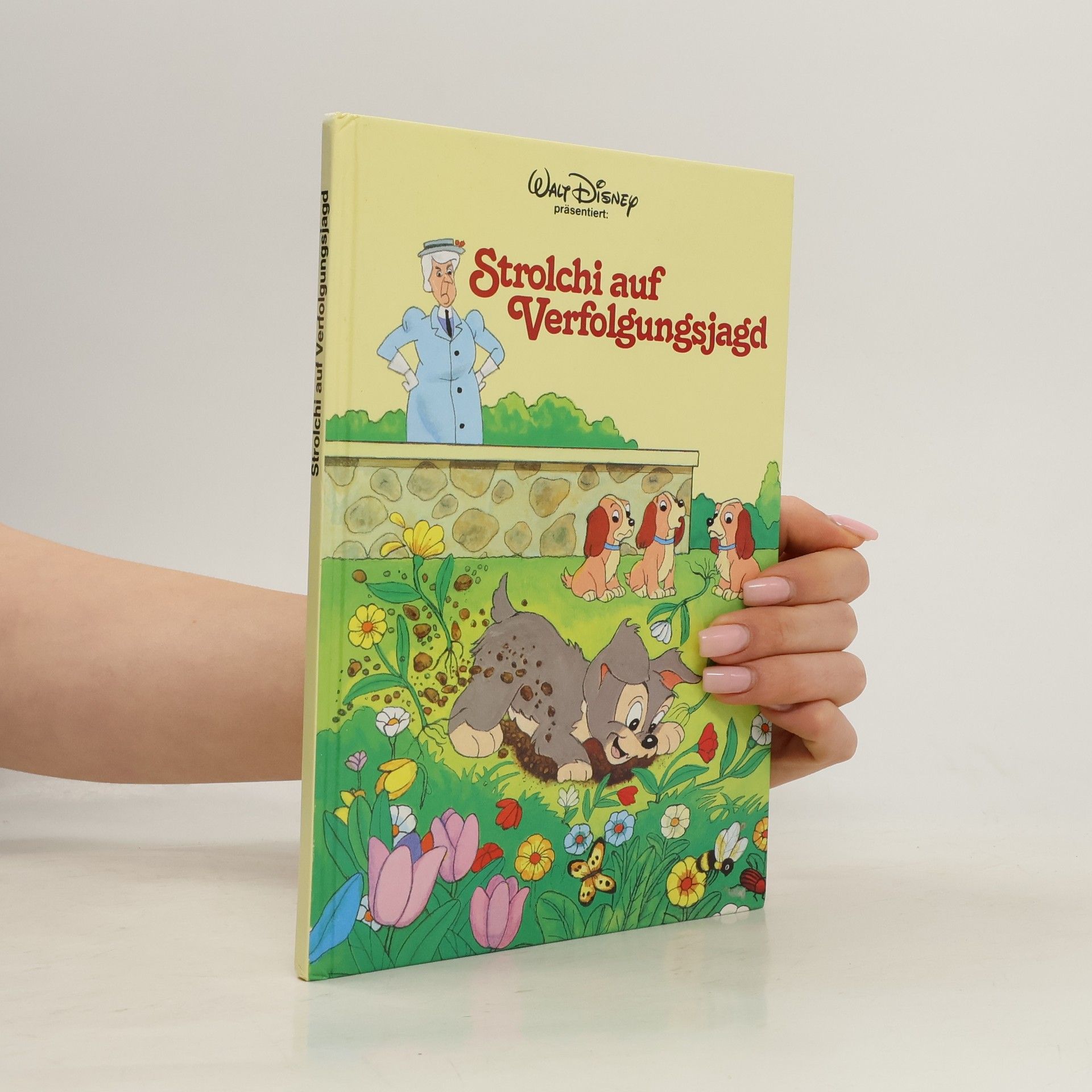 Kolektiv autorů Strolchi auf Verfolgungsjagd