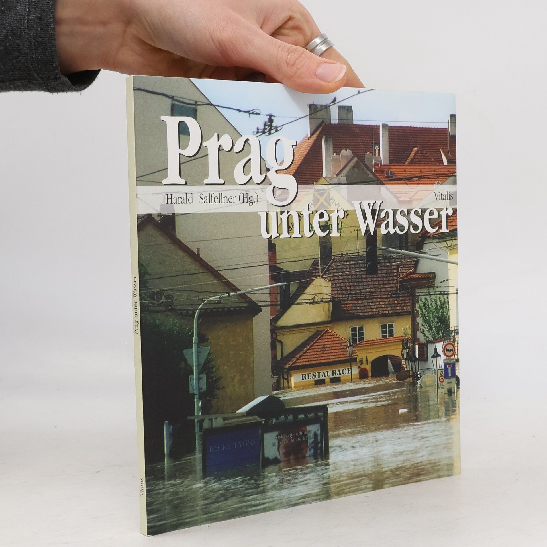 Harald Salfellner Prag unter Wasser