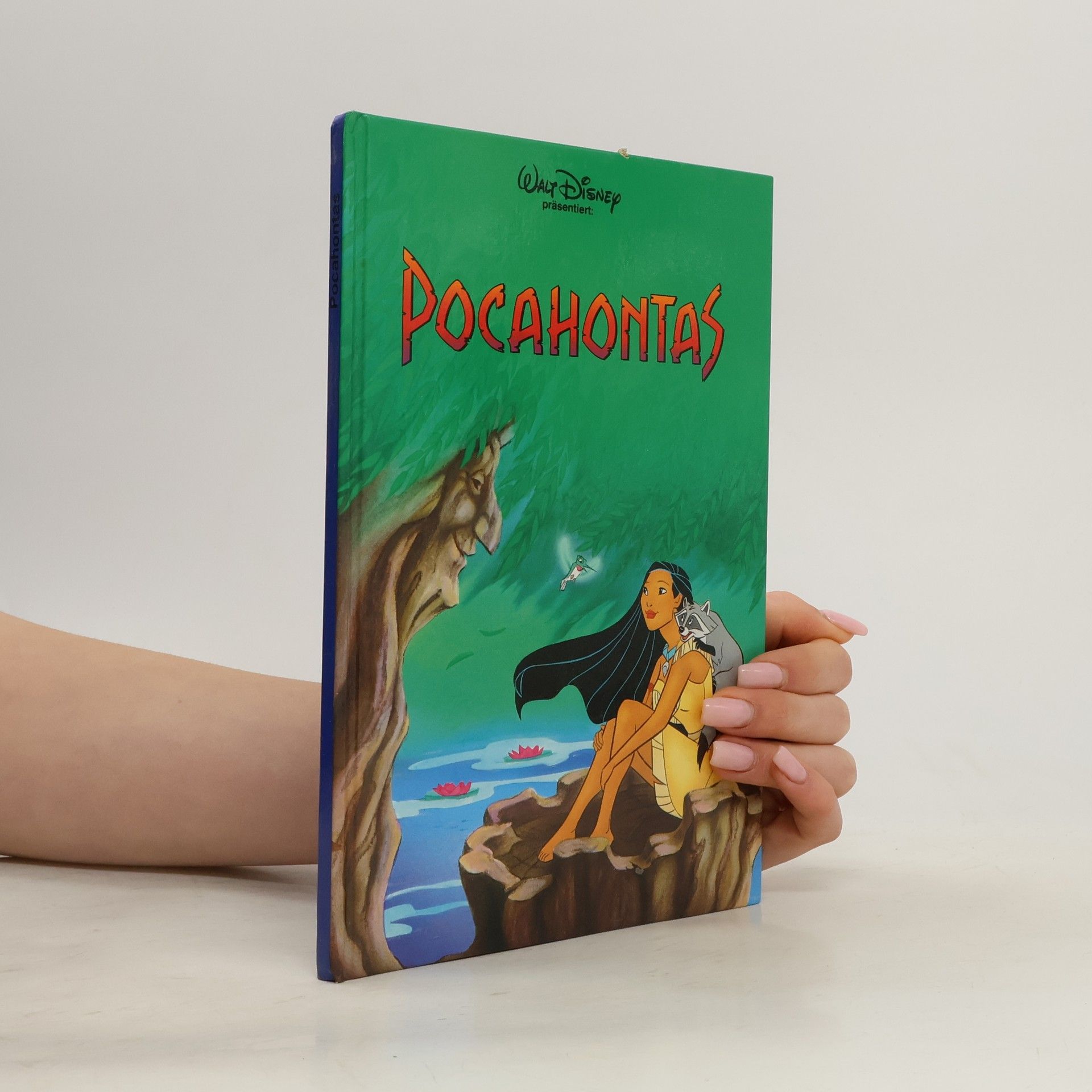 Kolektiv autorů Pocahontas