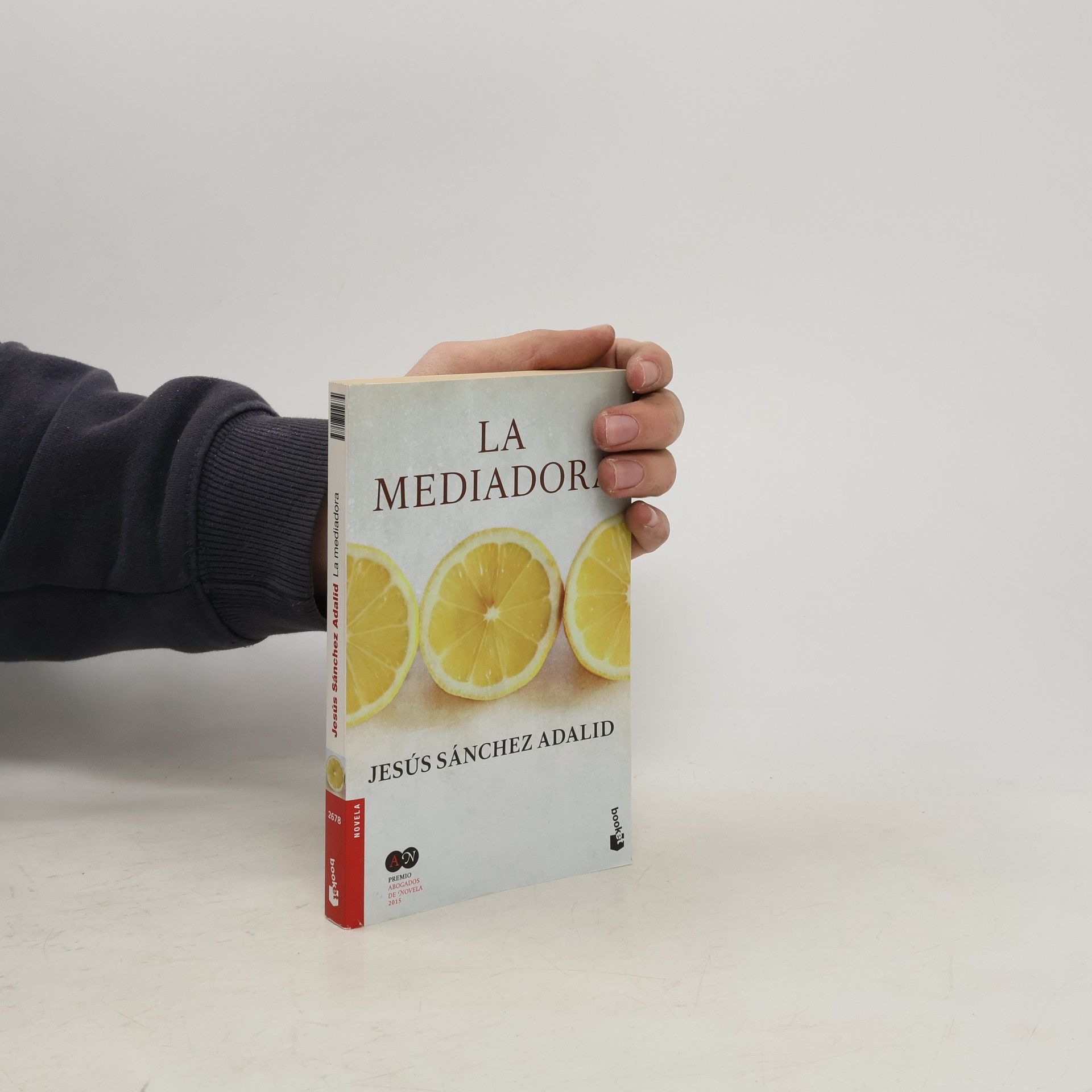 Jesús Sánchez Adalid La mediadora