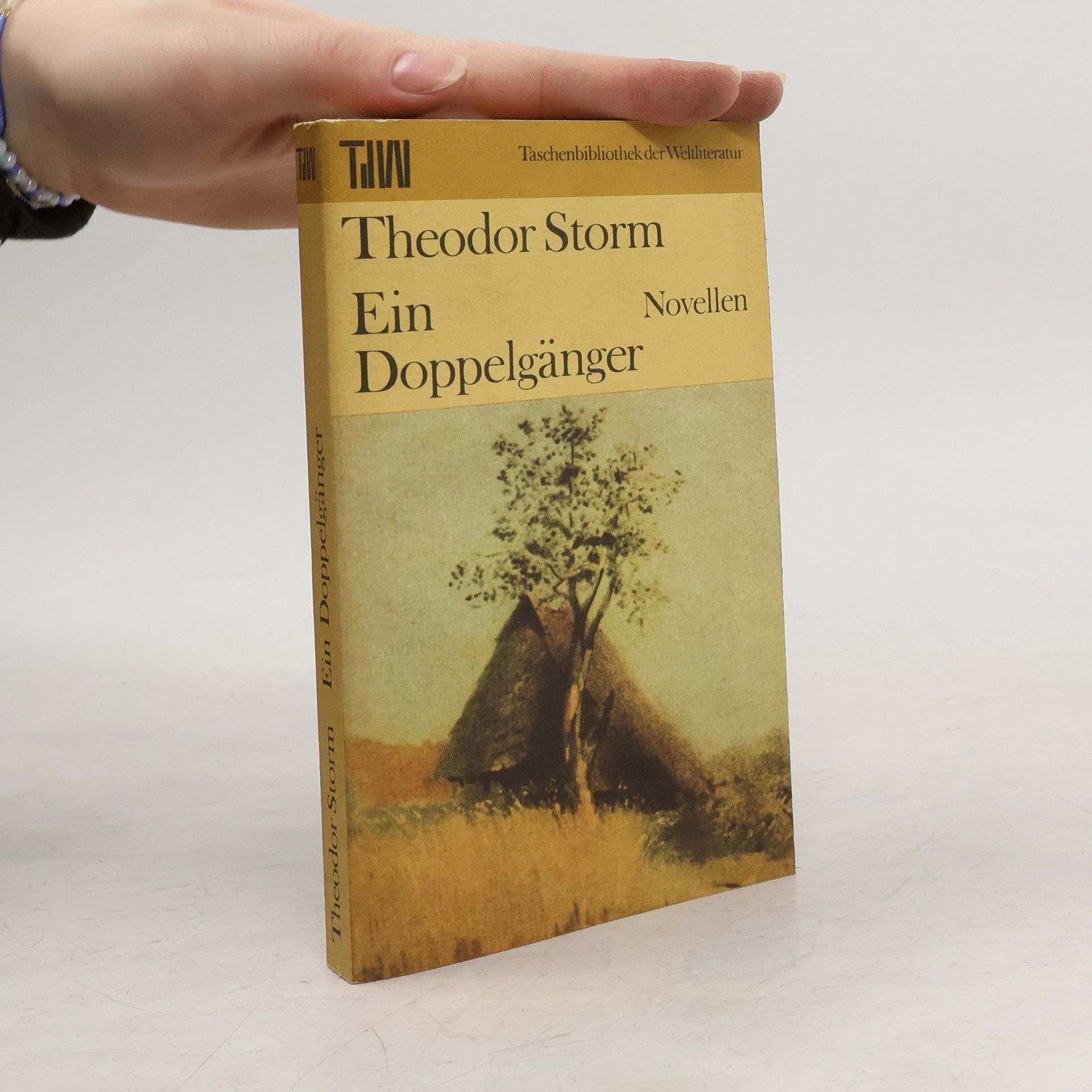 Theodor Storm Ein Doppelgänger