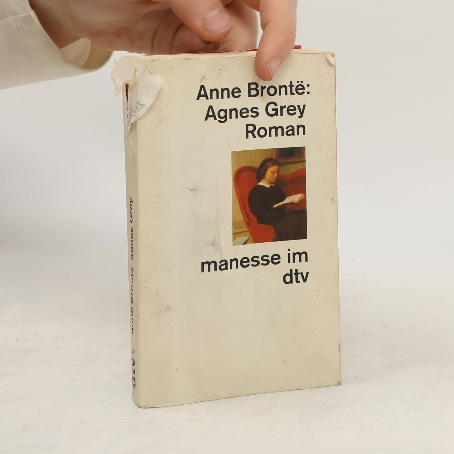 Anne Brontë Manesse im dtv: Agnes Grey