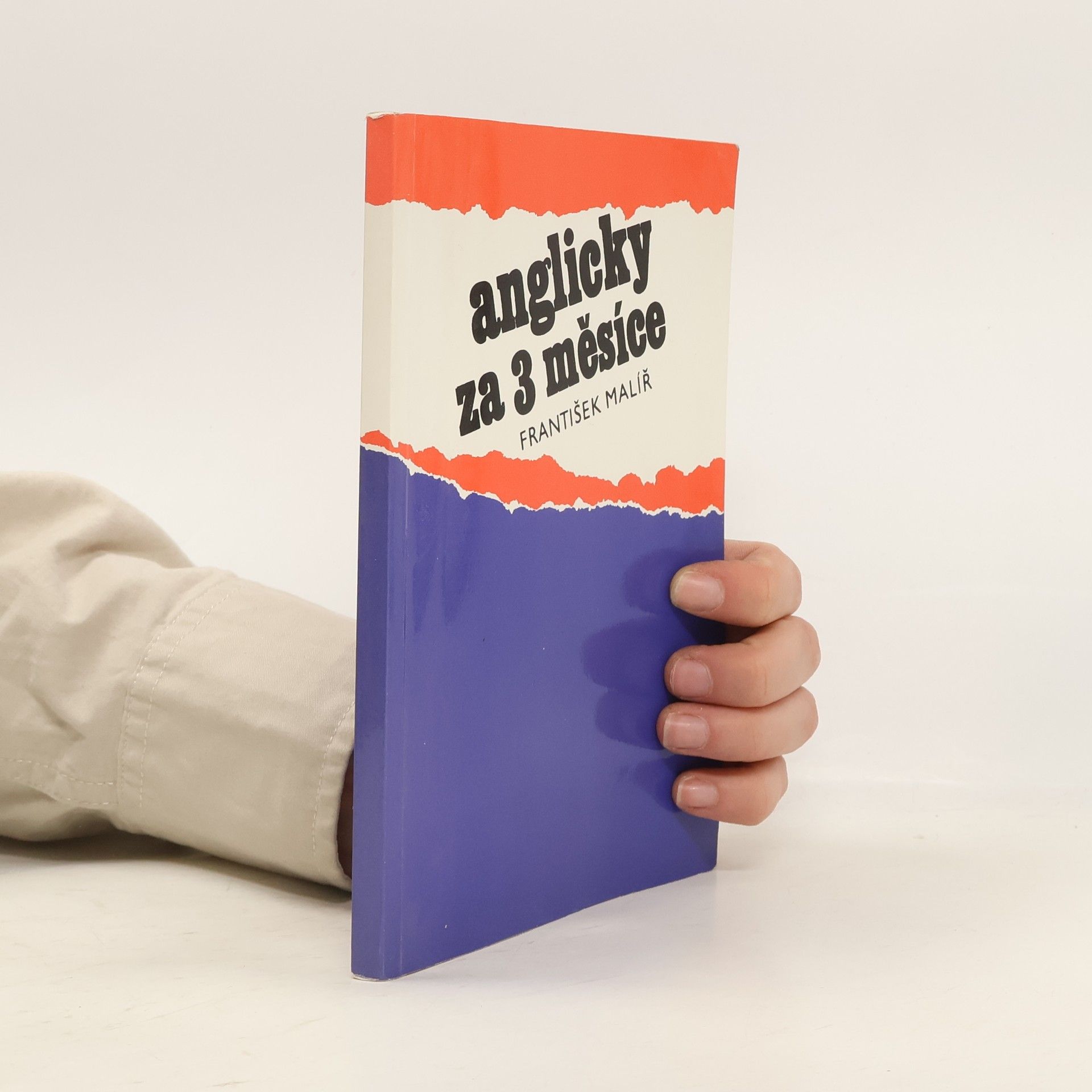 František Malíř Anglicky za 3 měsíce