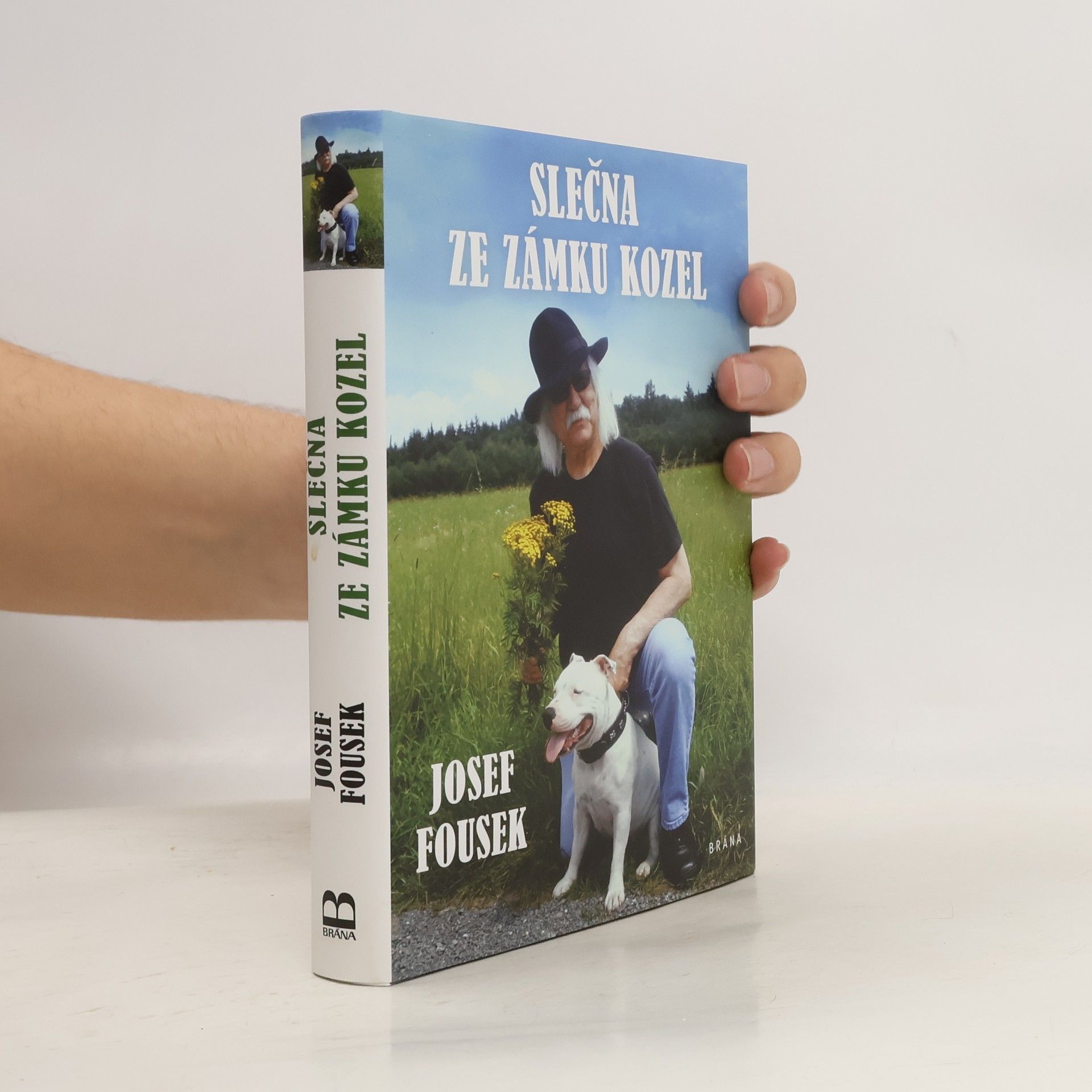 Josef Fousek Slečna ze zámku Kozel