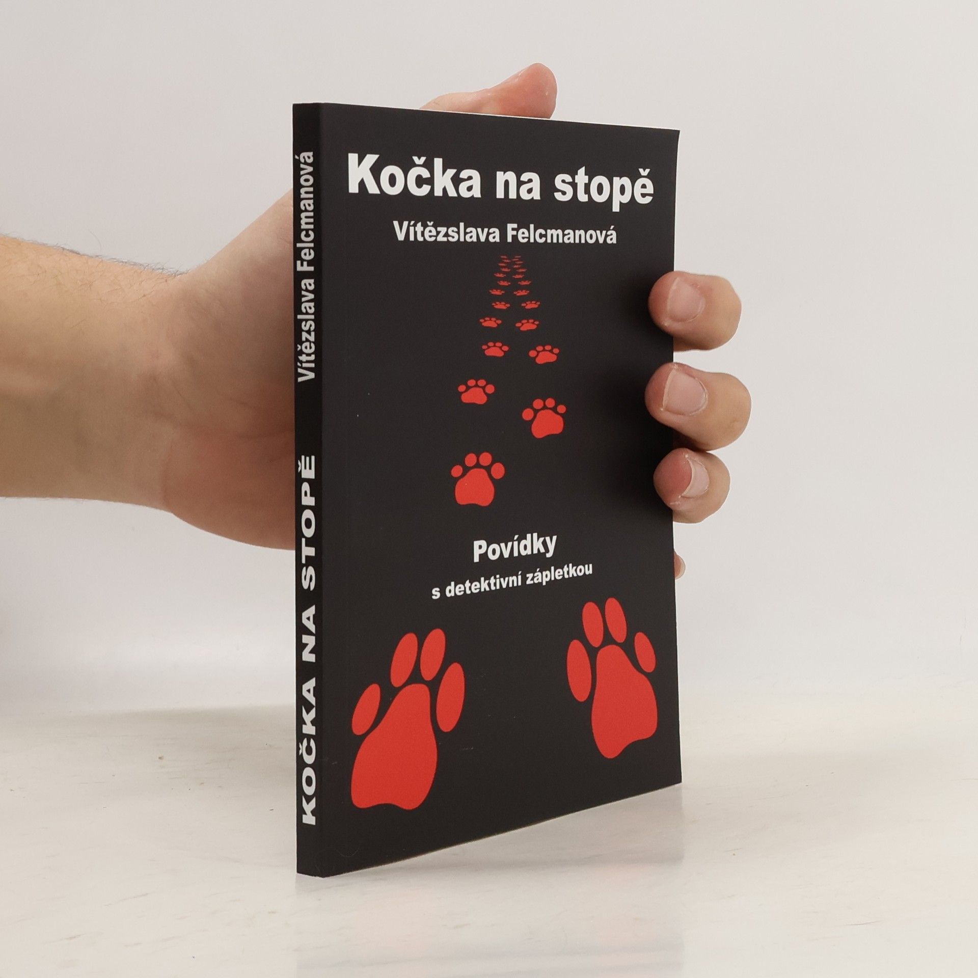 Vítězslava Felcmanová Kočka na stopě