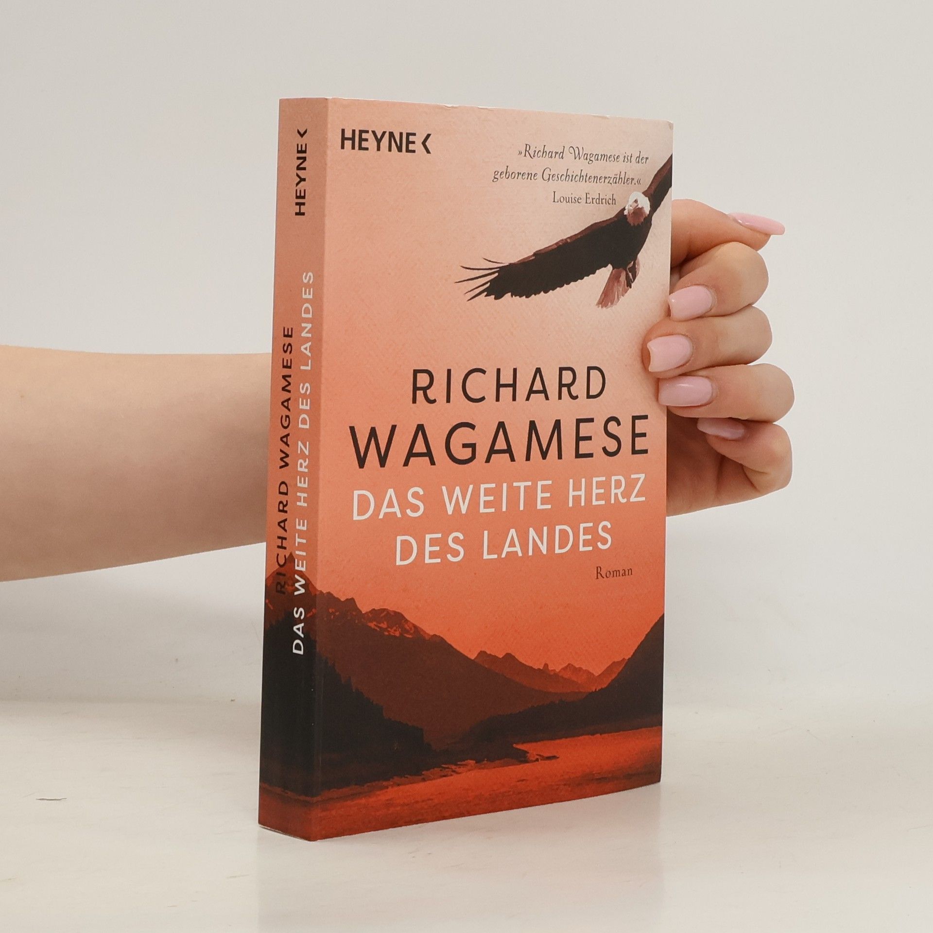 Richard Wagamese Das weite Herz des Landes