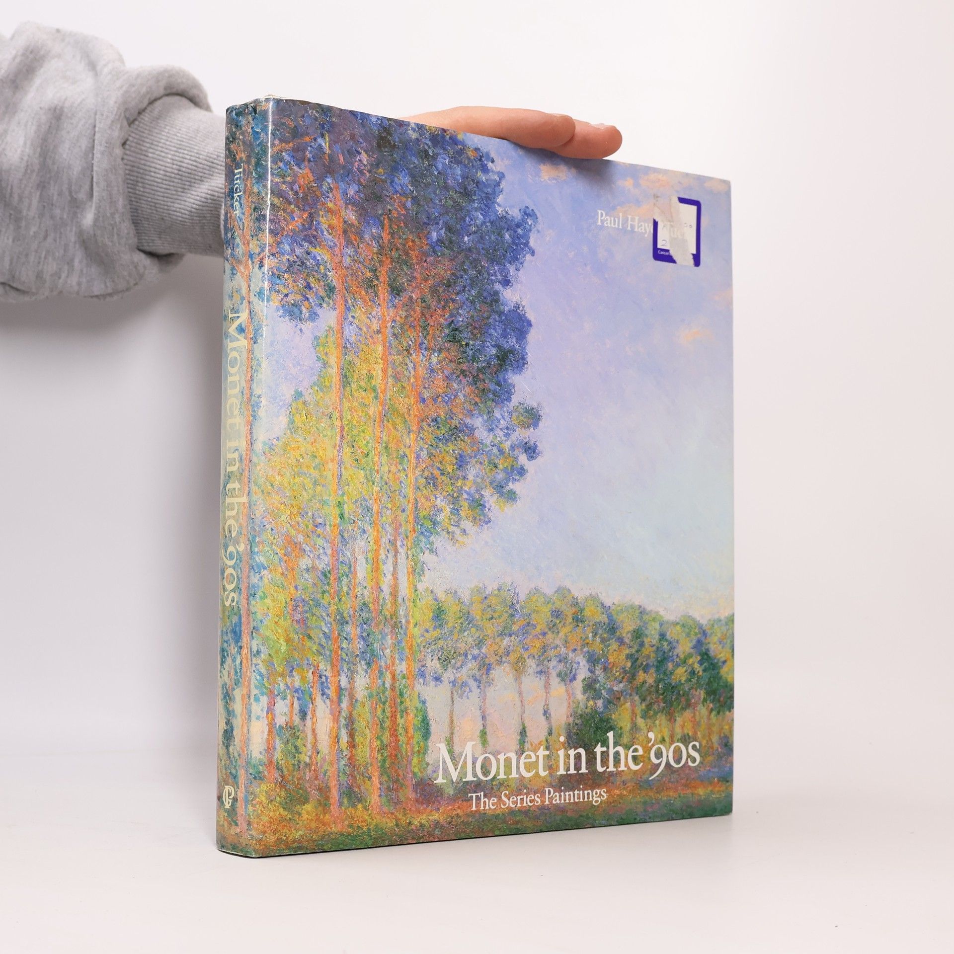 Paul Hayes Tucker Monet in the '90s