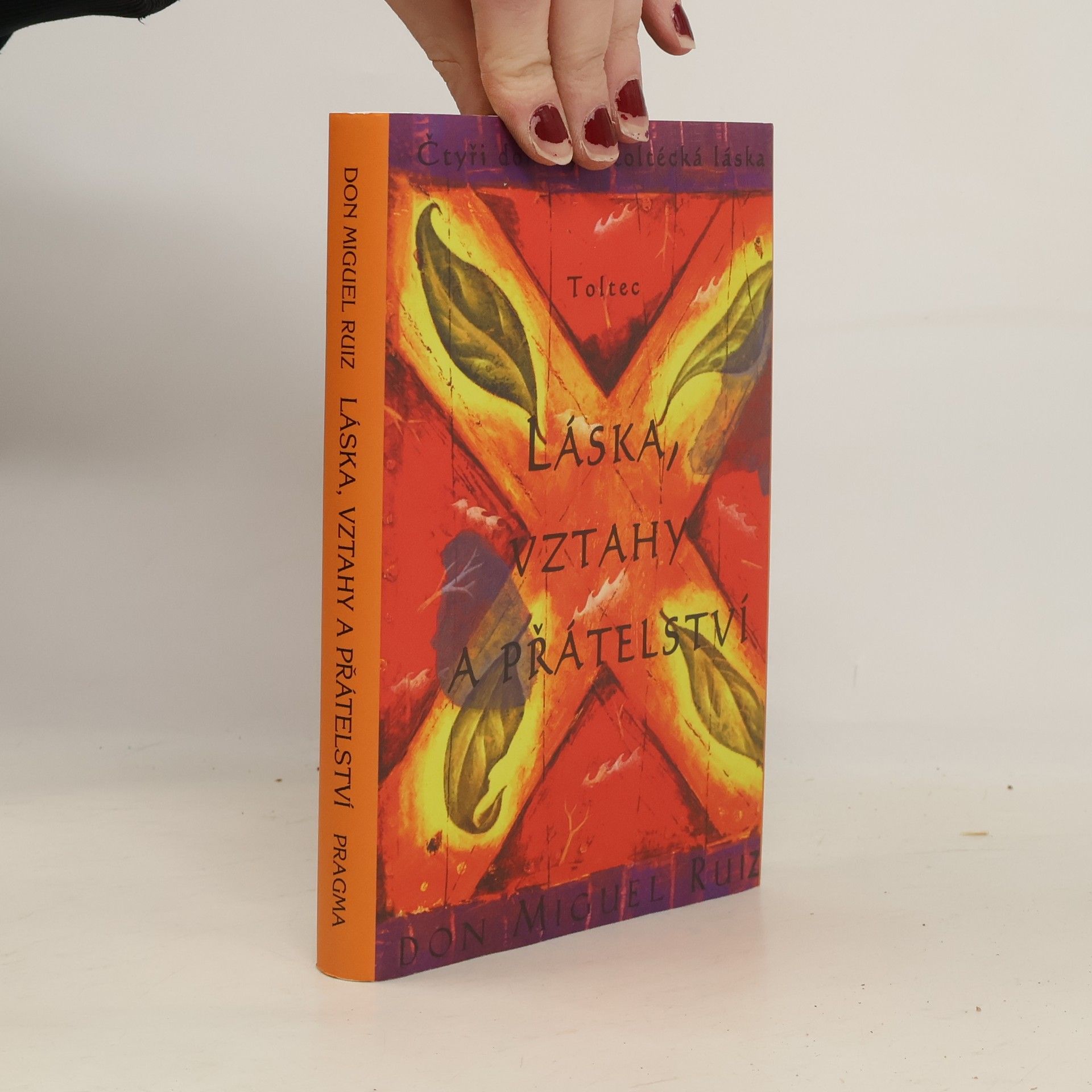 Don Miguel Ruiz Láska, vztahy a přátelství