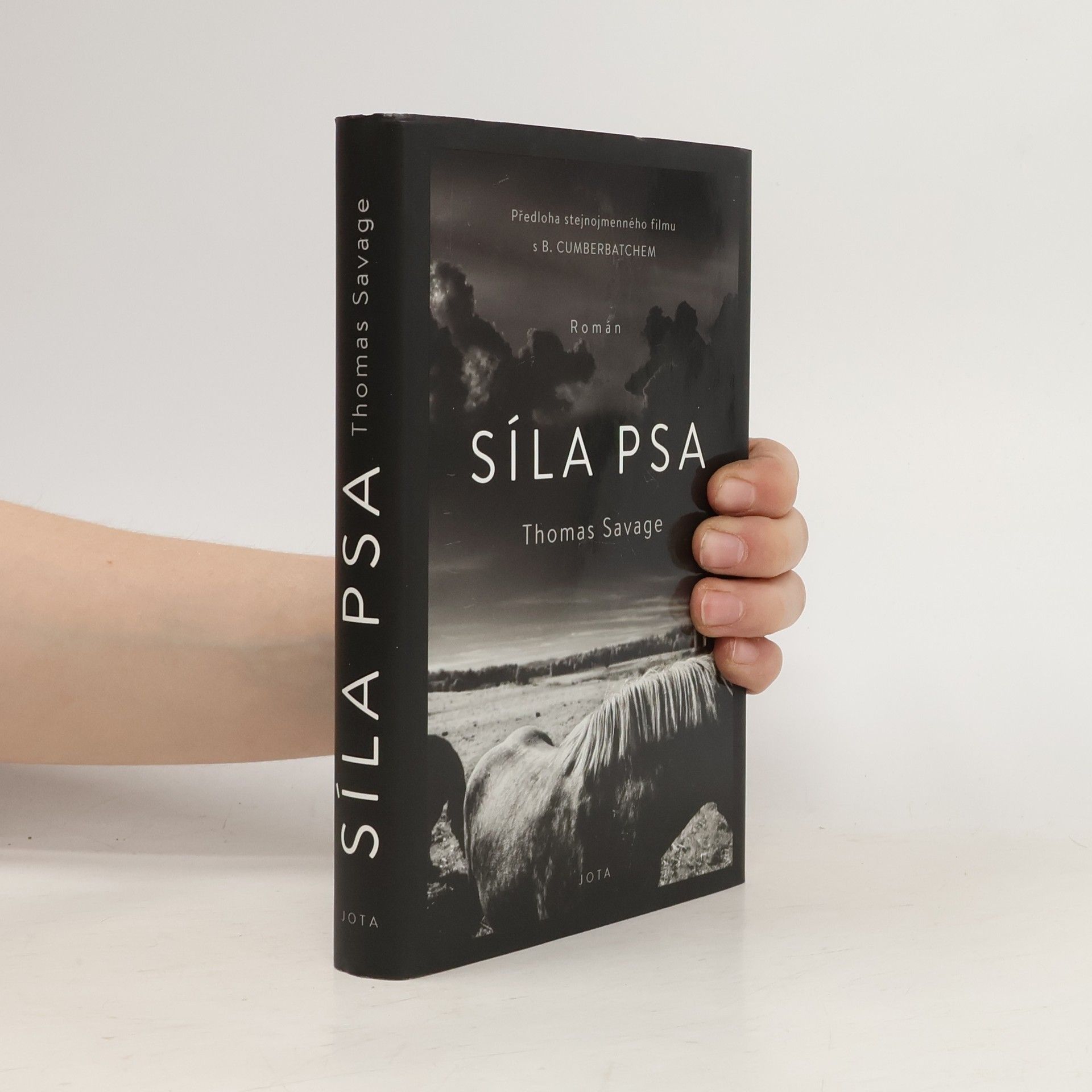 Thomas Savage Síla psa