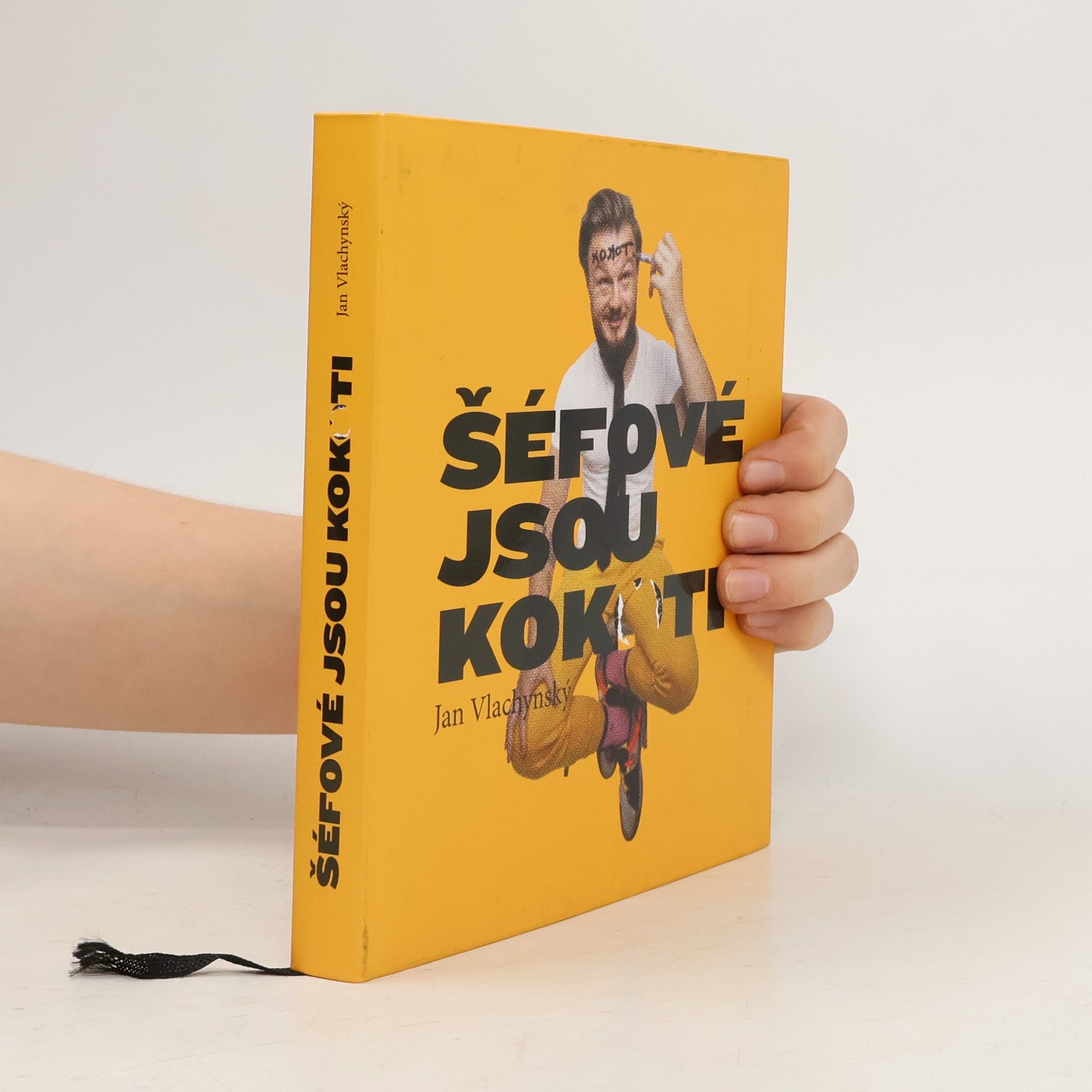 Jan Vlachynský Šéfové jsou kokoti
