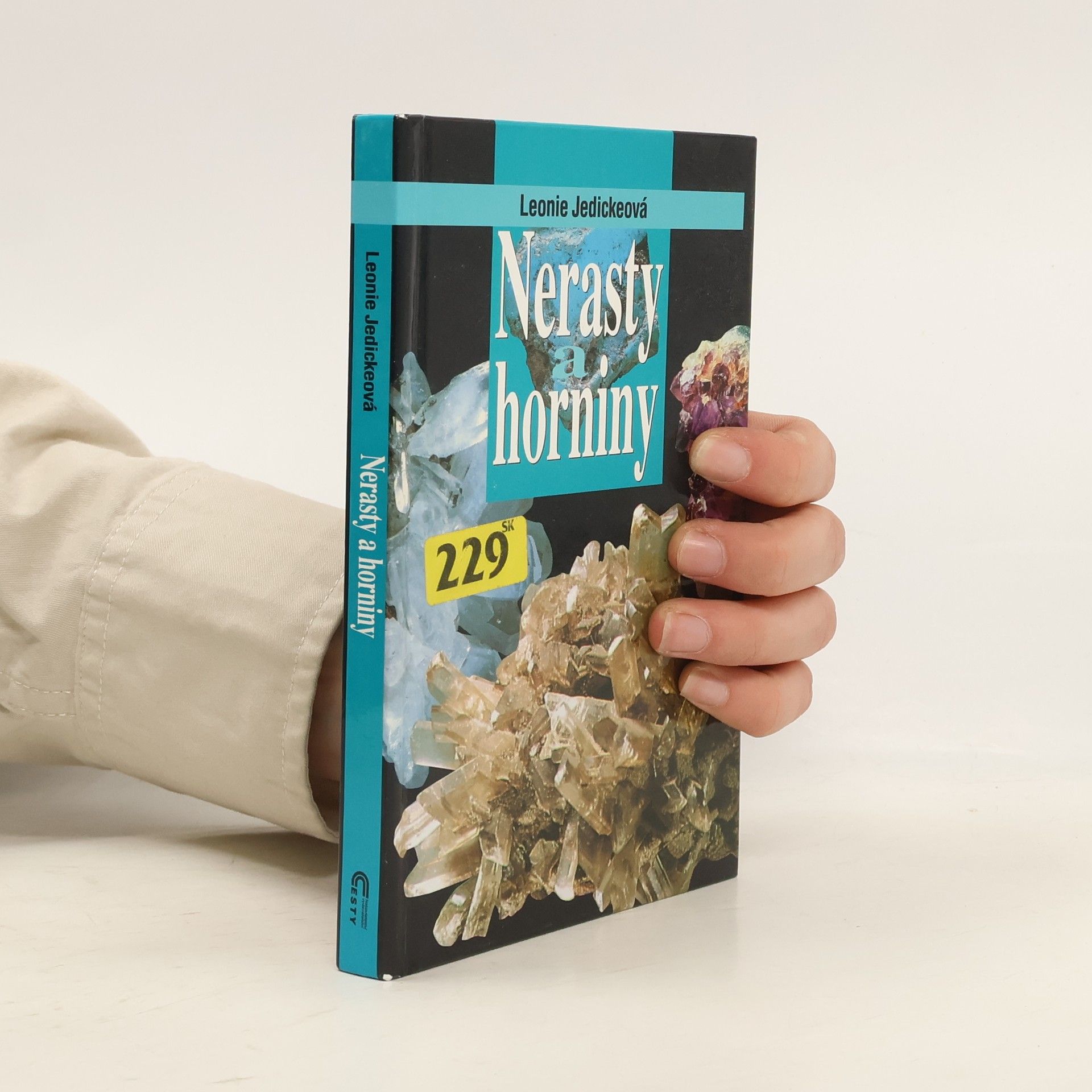 Leonie Jedicke Nerasty a horniny