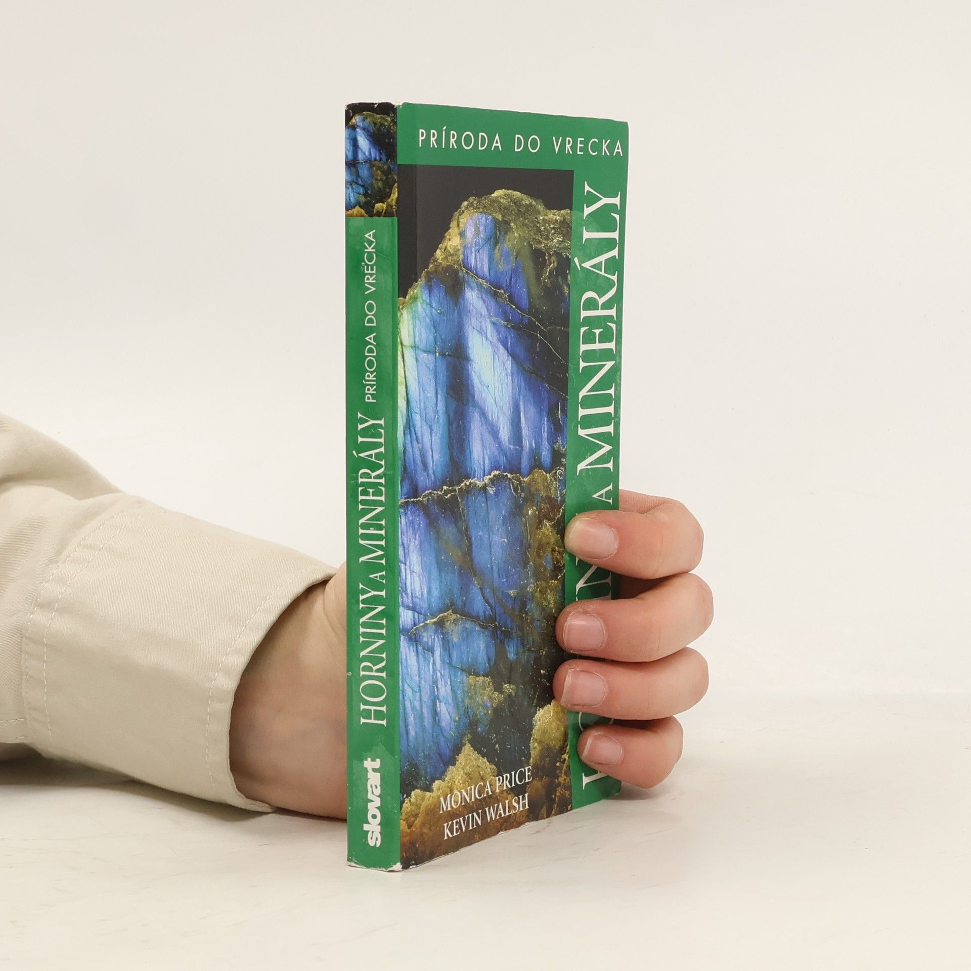 Kevin Walsh Horniny a minerály