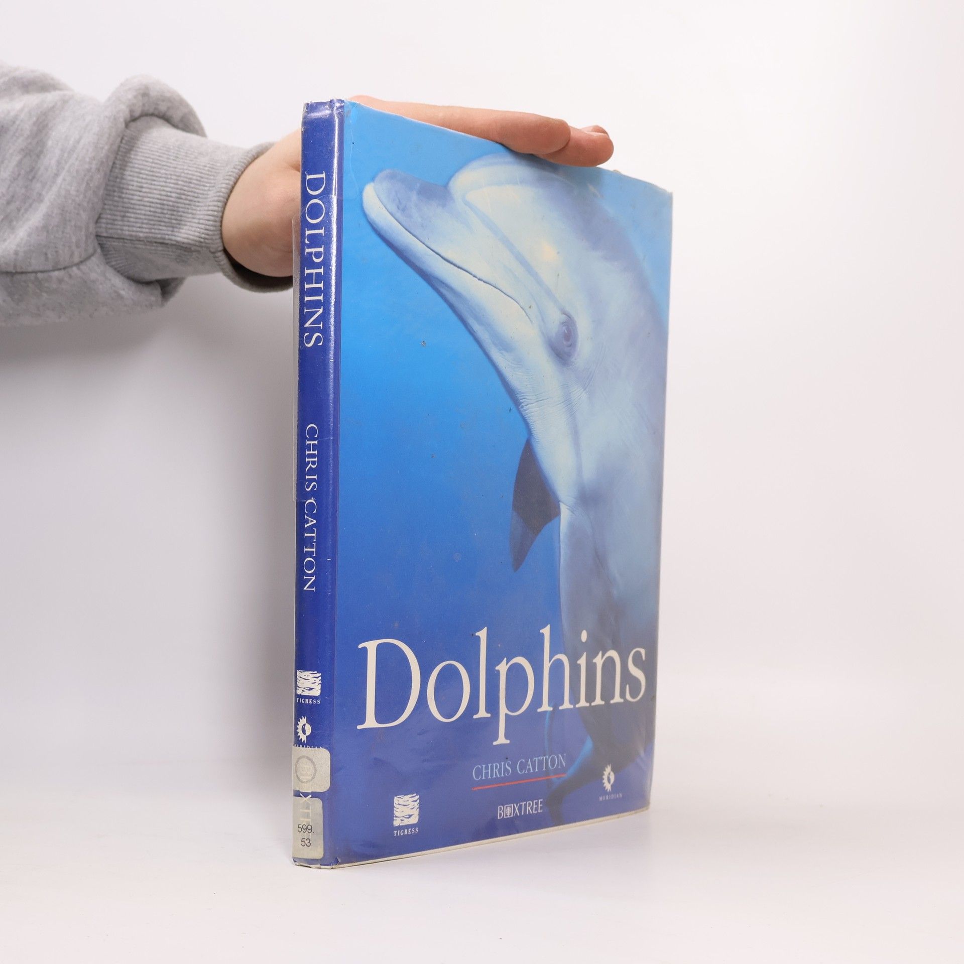 Chris Catton Dolphins