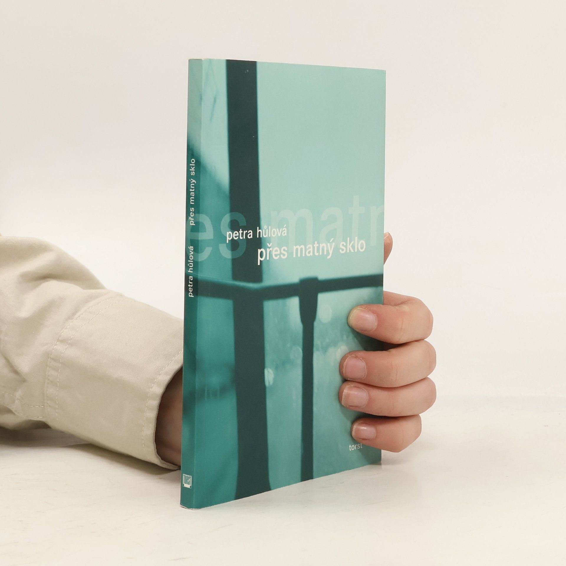 Petra Hůlová Přes matný sklo