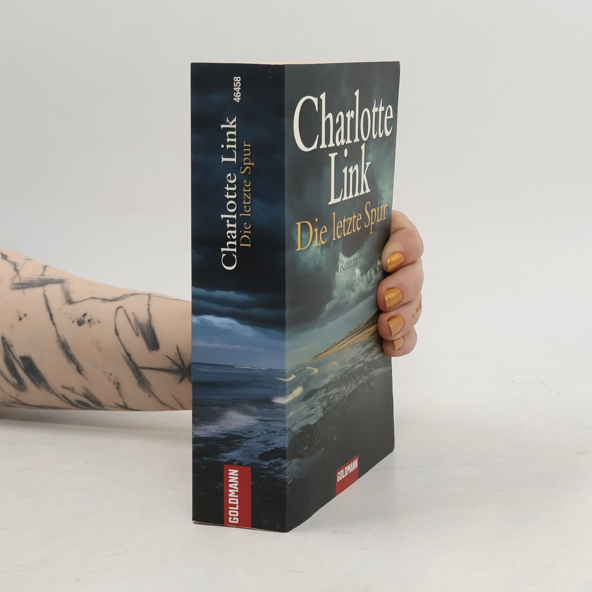 Charlotte Link Die letzte Spur