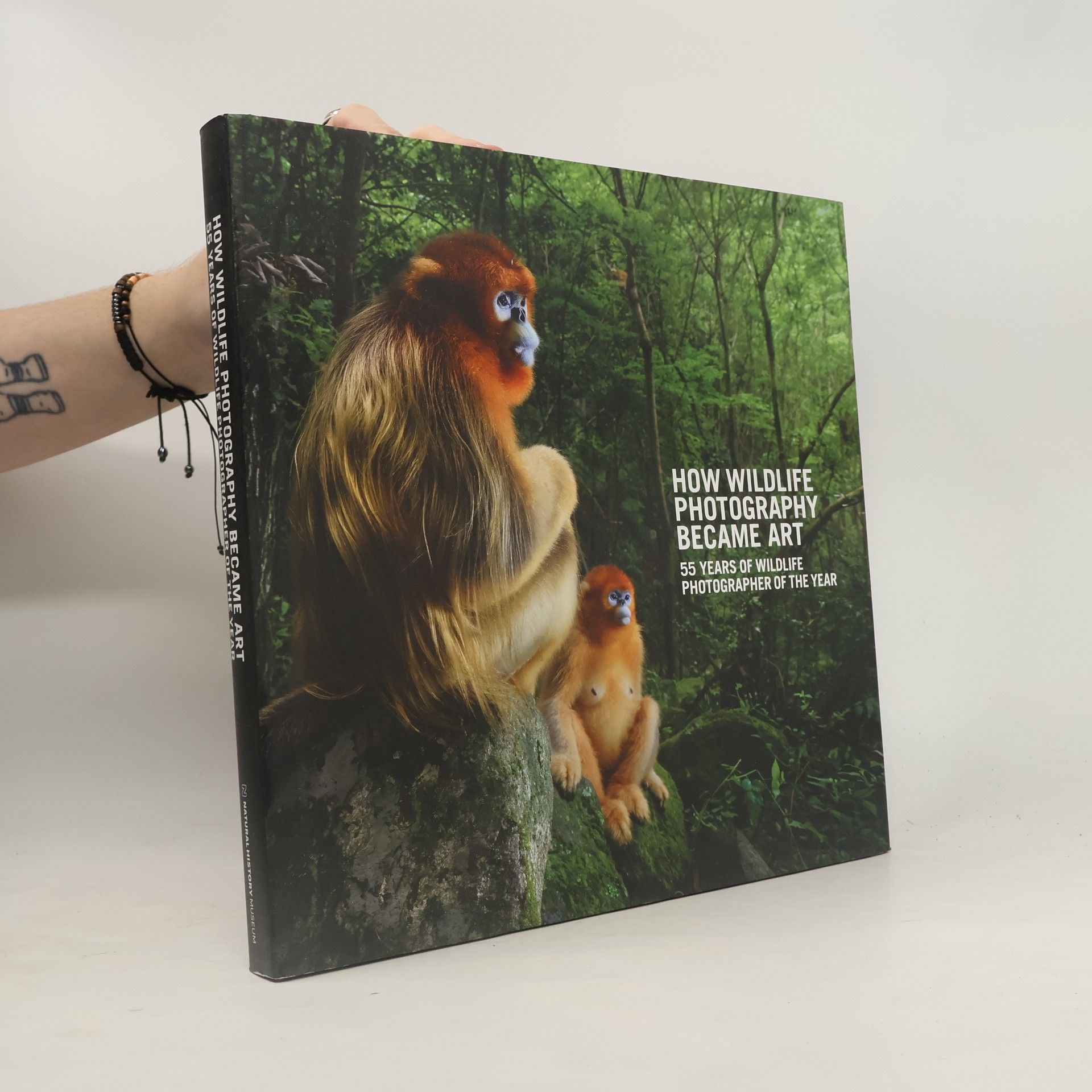 The Natural History Museum How Wildlife Photography Became Art