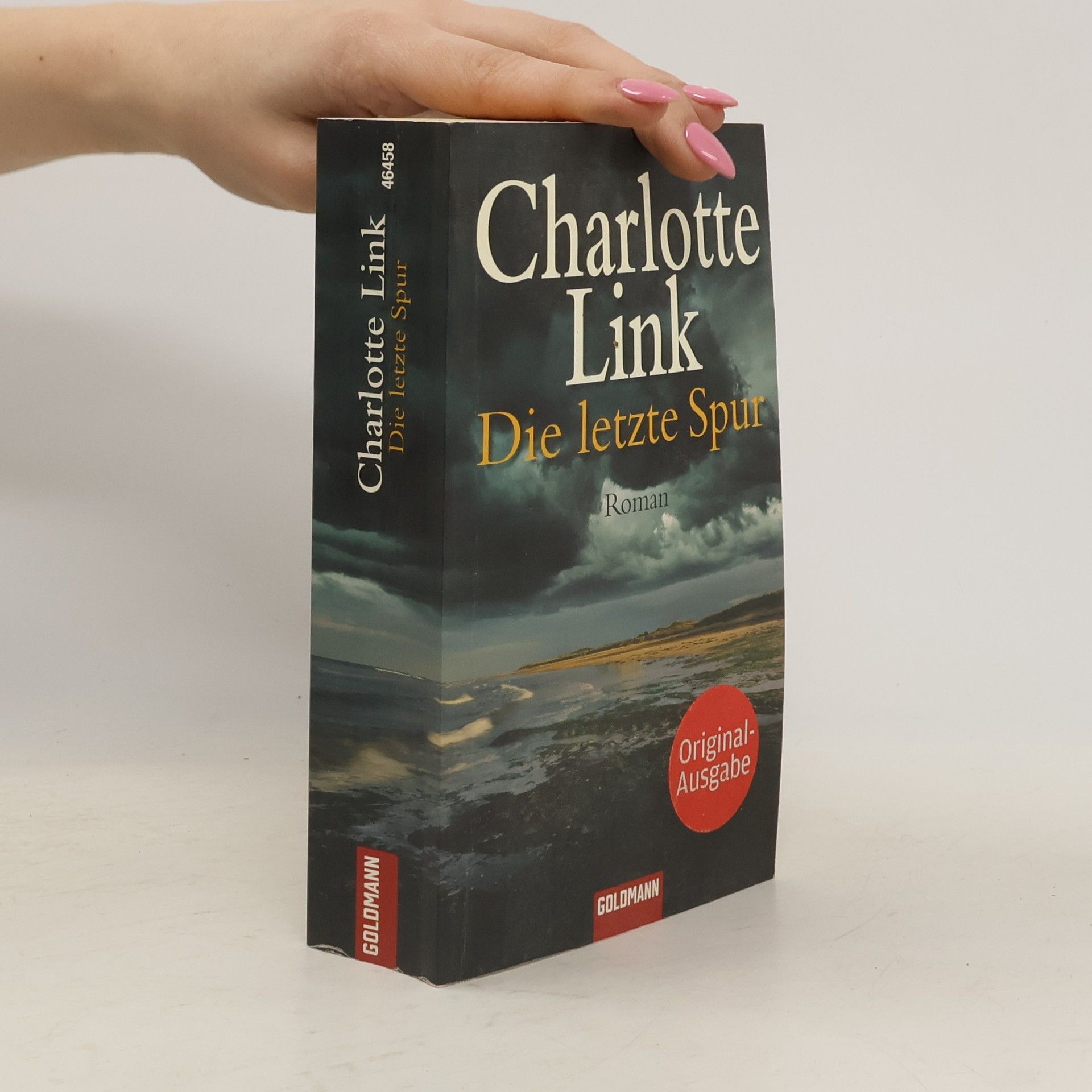Charlotte Link Die letzte Spur