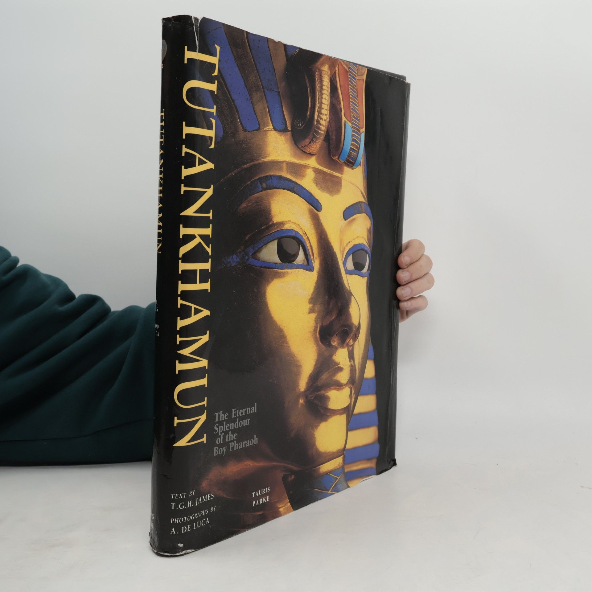 Thomas G. H. James Tutankhamun