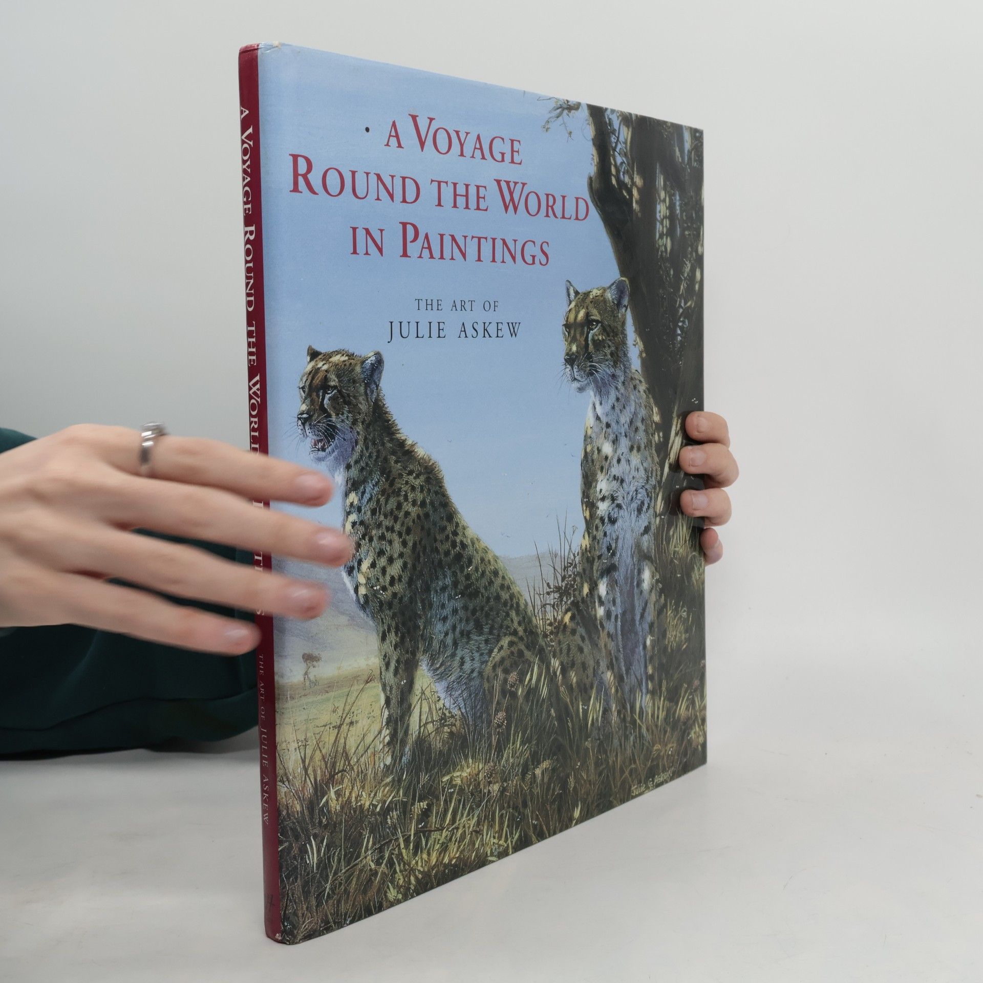 Julie Askew A Voyage Round the World in Paintings